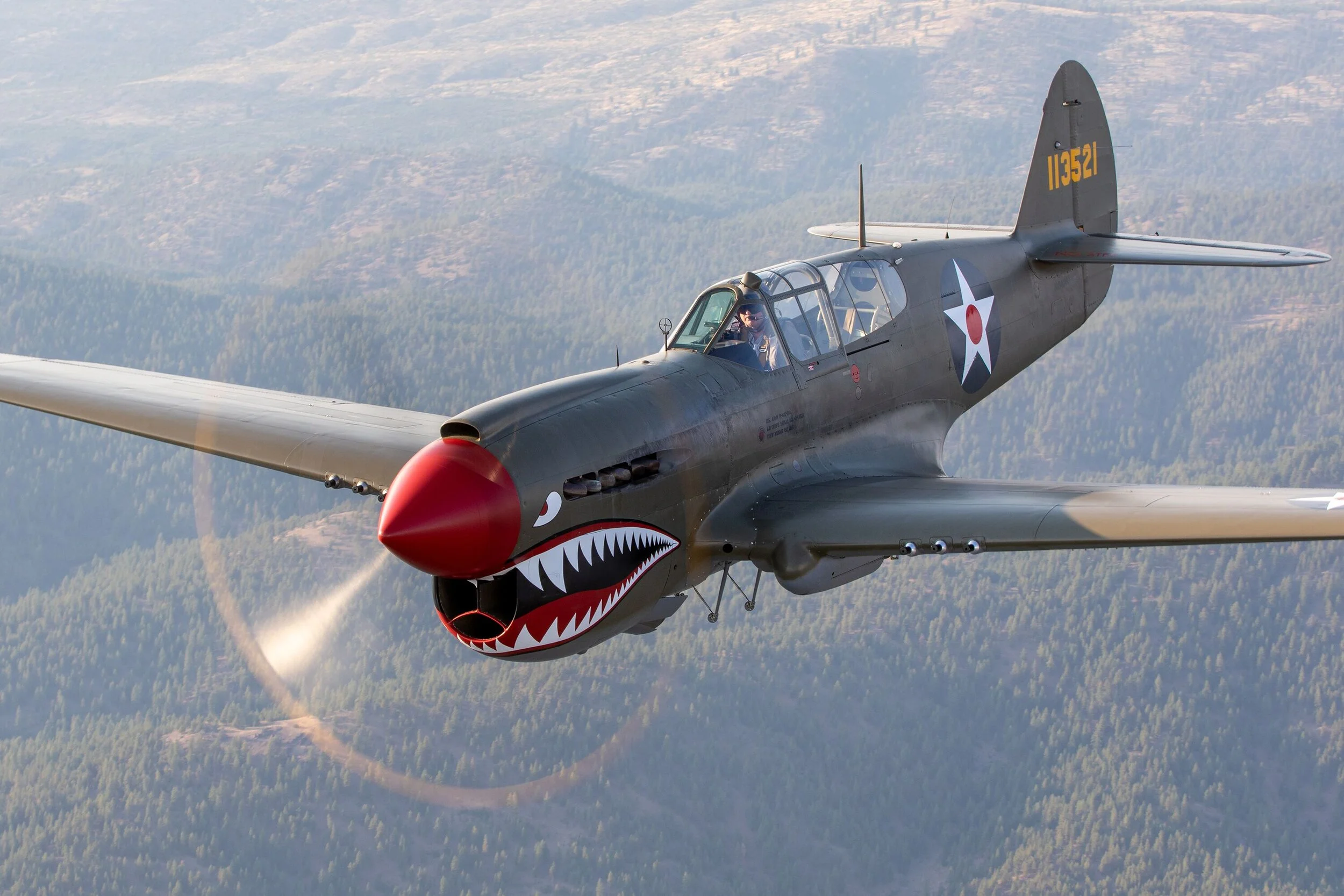 P-40 over trees.jpeg
