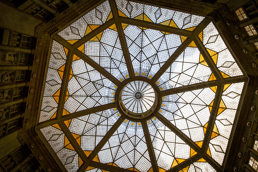 IMG_6334.jpg