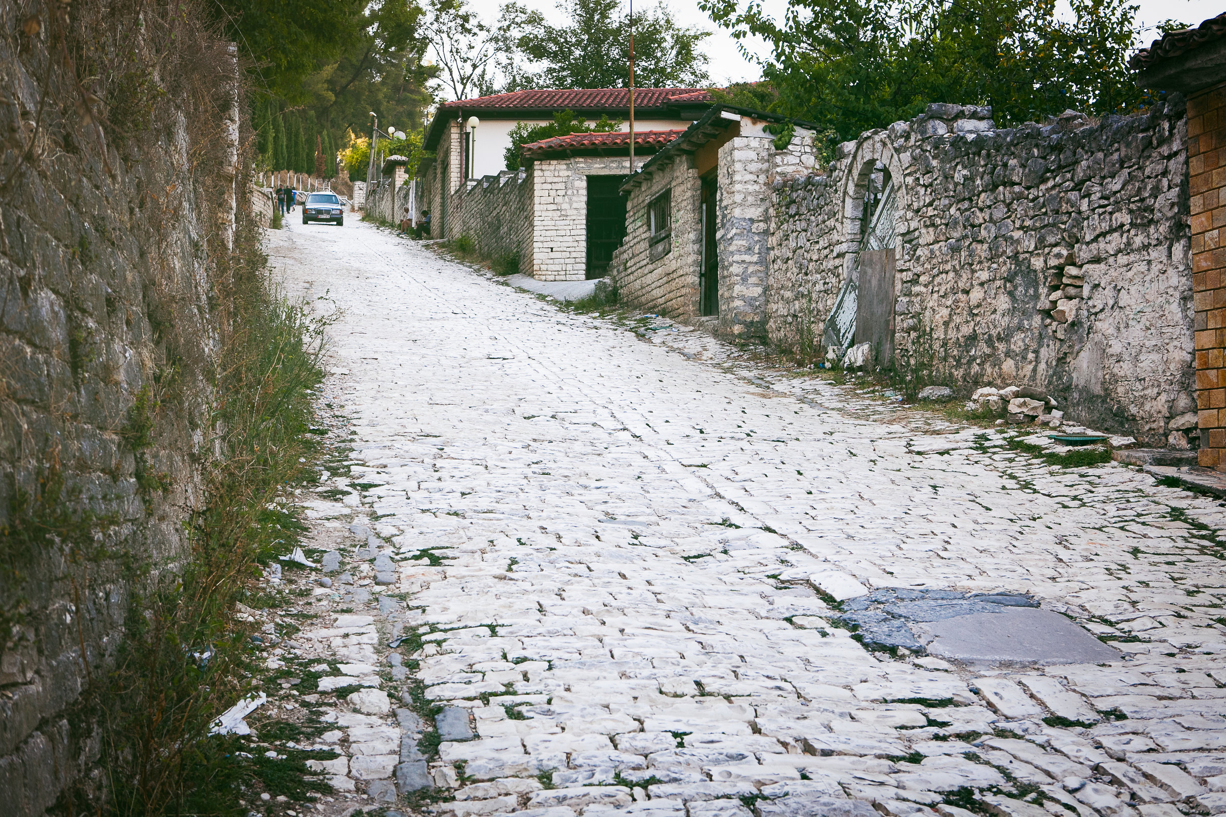 IMG_7091-Edit.jpg