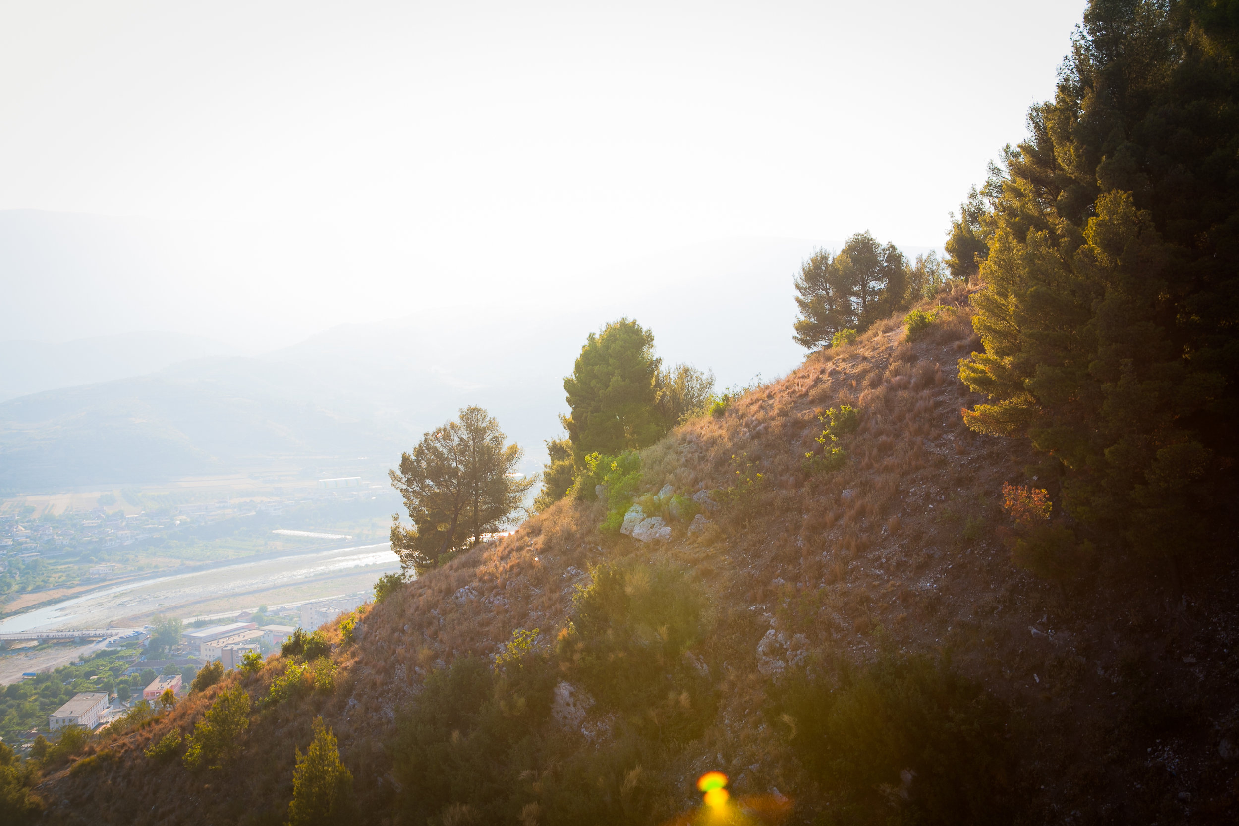 IMG_7117-Edit.jpg