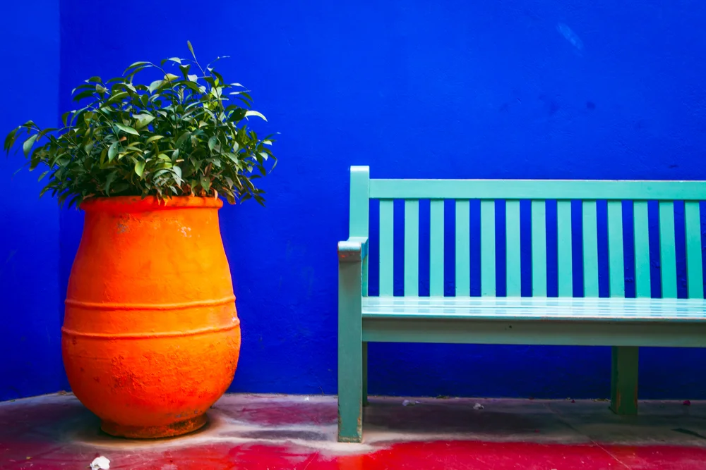 bluebenchwallorangepot.jpg