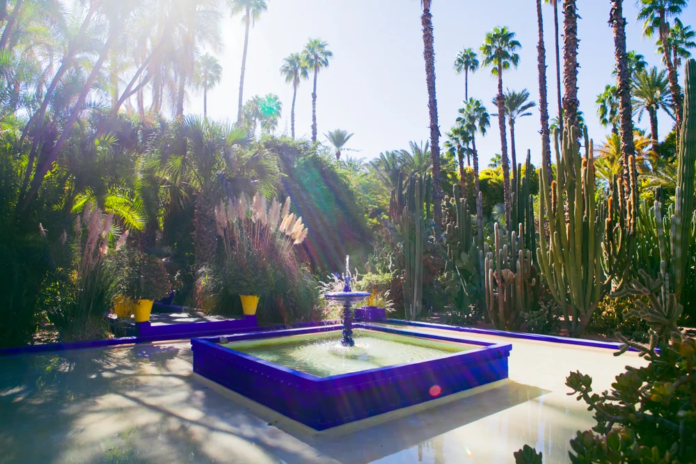squarewaterfountainpalmtrees.jpg