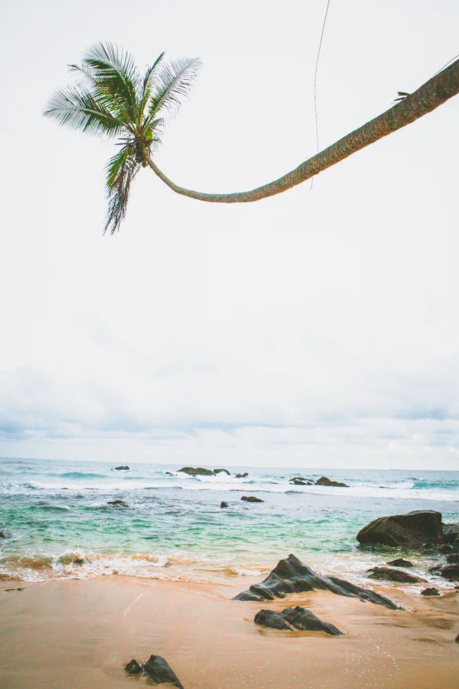 SriLanka-IMG_0298.jpg