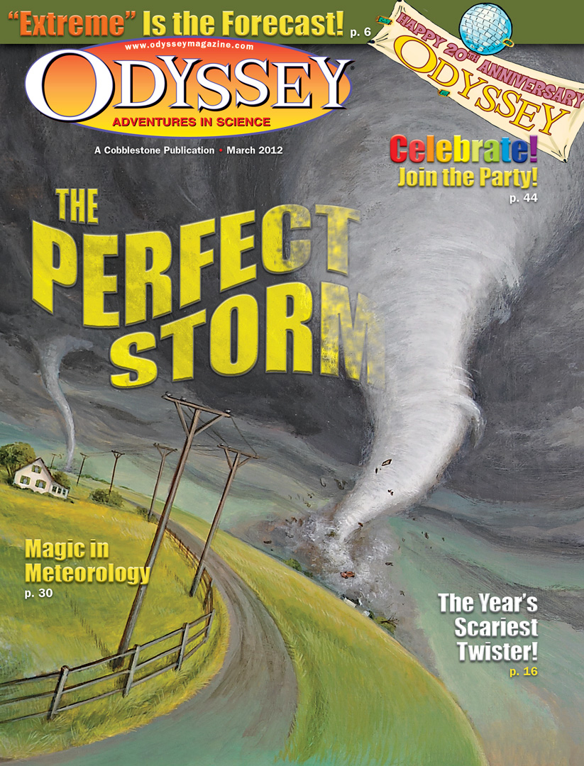The Perfect Storm