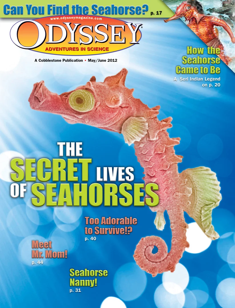 The Secret Lives of Seahorses
