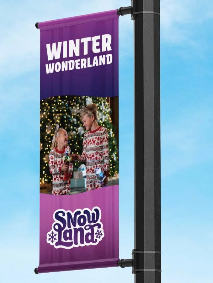 snowland banner_opposite.jpg