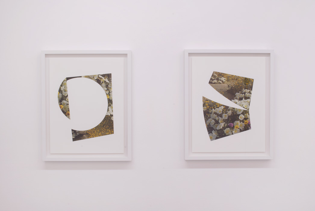   Fresh Cut Diptych,  2014&nbsp;  collage on paper. 17&nbsp;x 21 inches&nbsp;(each) 