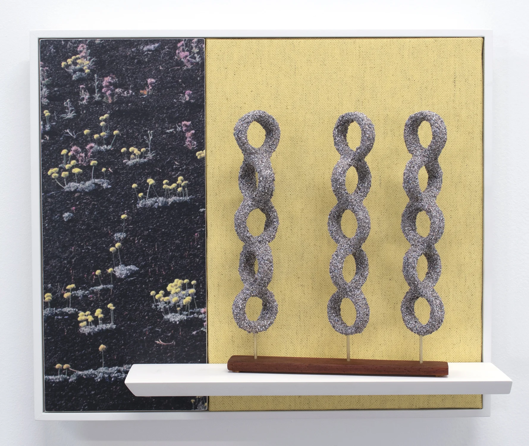 Daisies & Dust, 2017 12 x 14 x 4 inches pigment print, fabric, plastic, wood, cardboard, brass, and sand