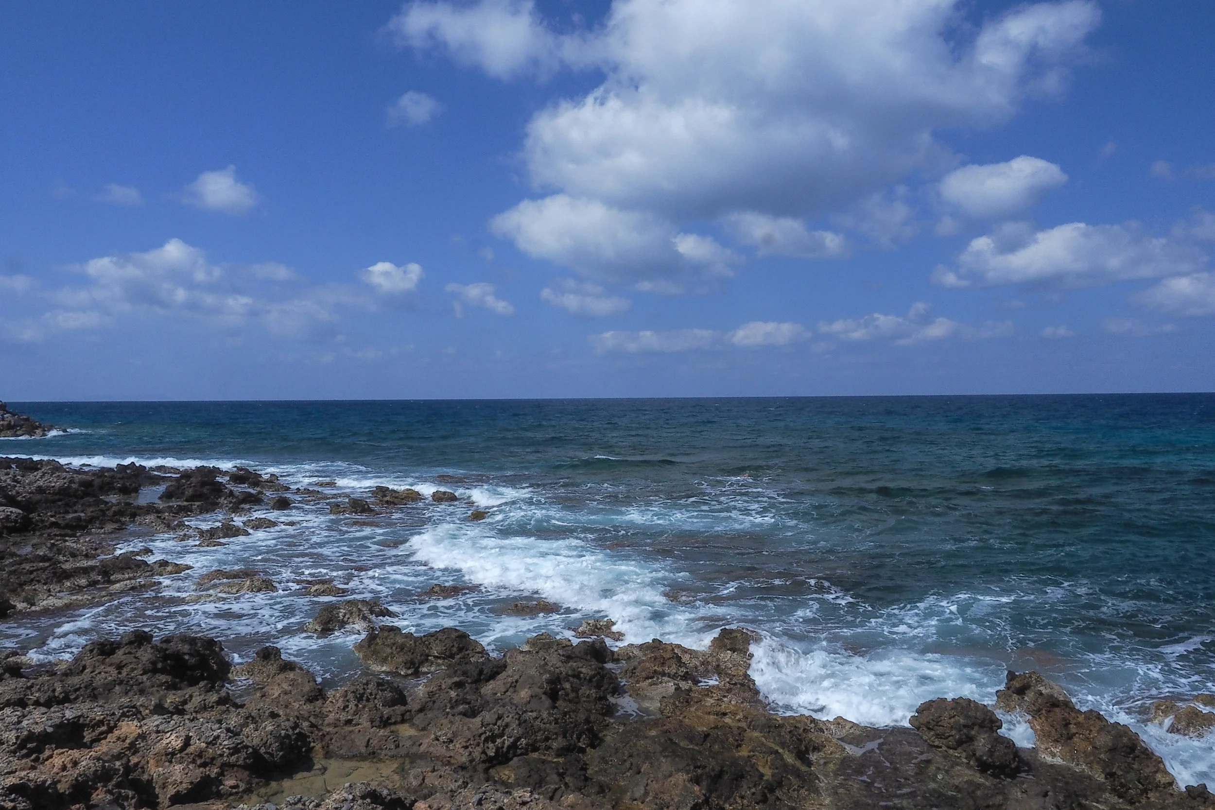 PA071130.jpg