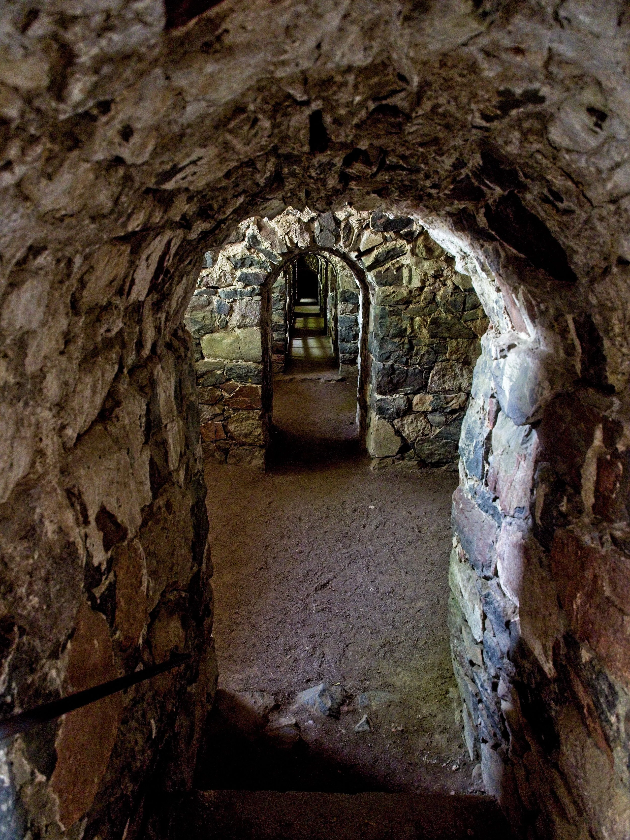 P7121437a.jpg