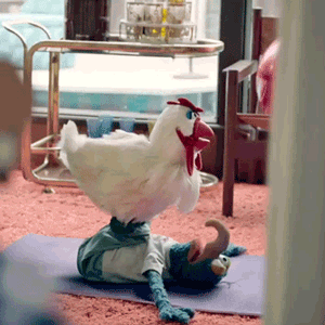 chicken.jpg