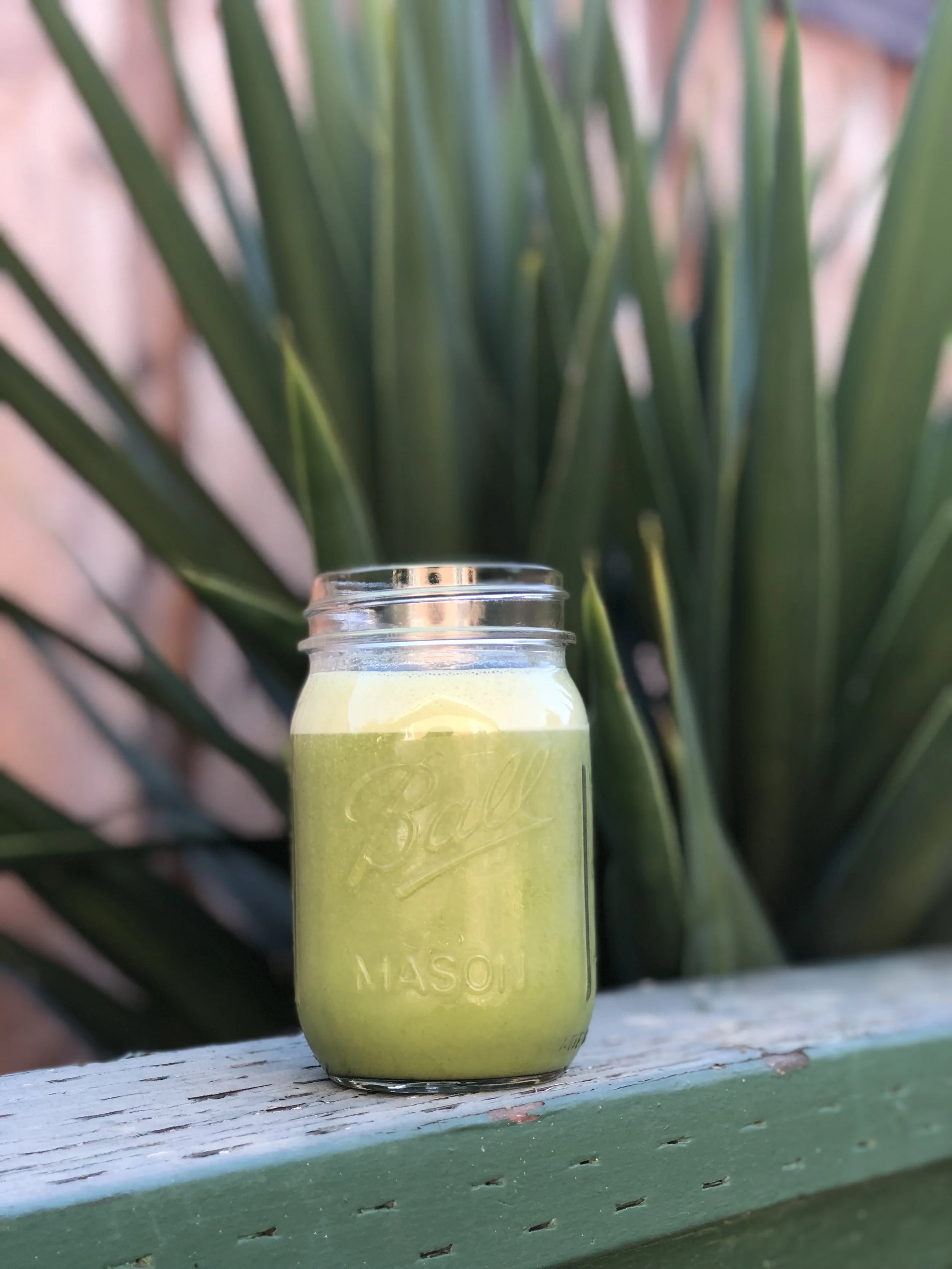 malunggaygreenshake.jpg