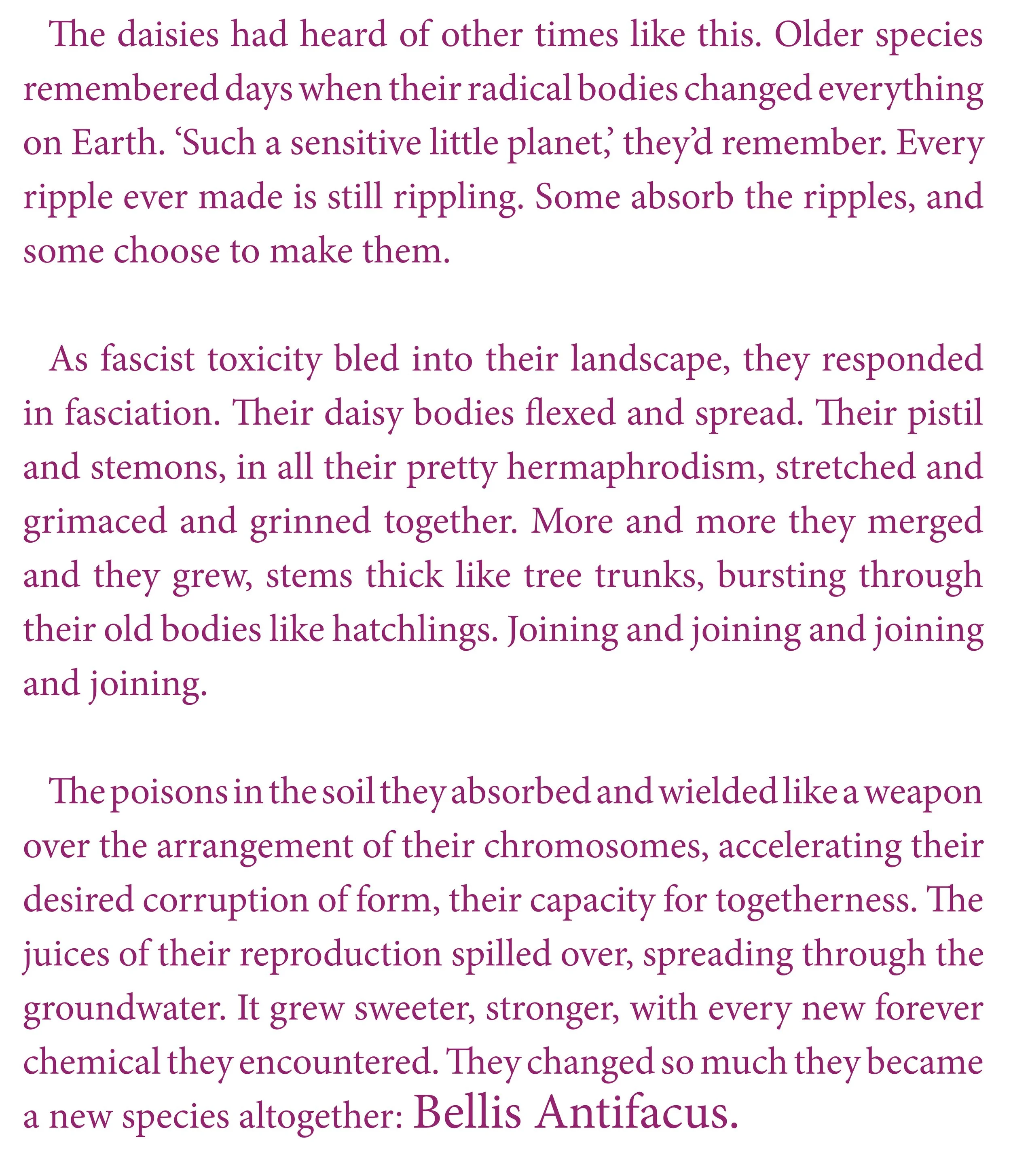 page2 (1).jpg