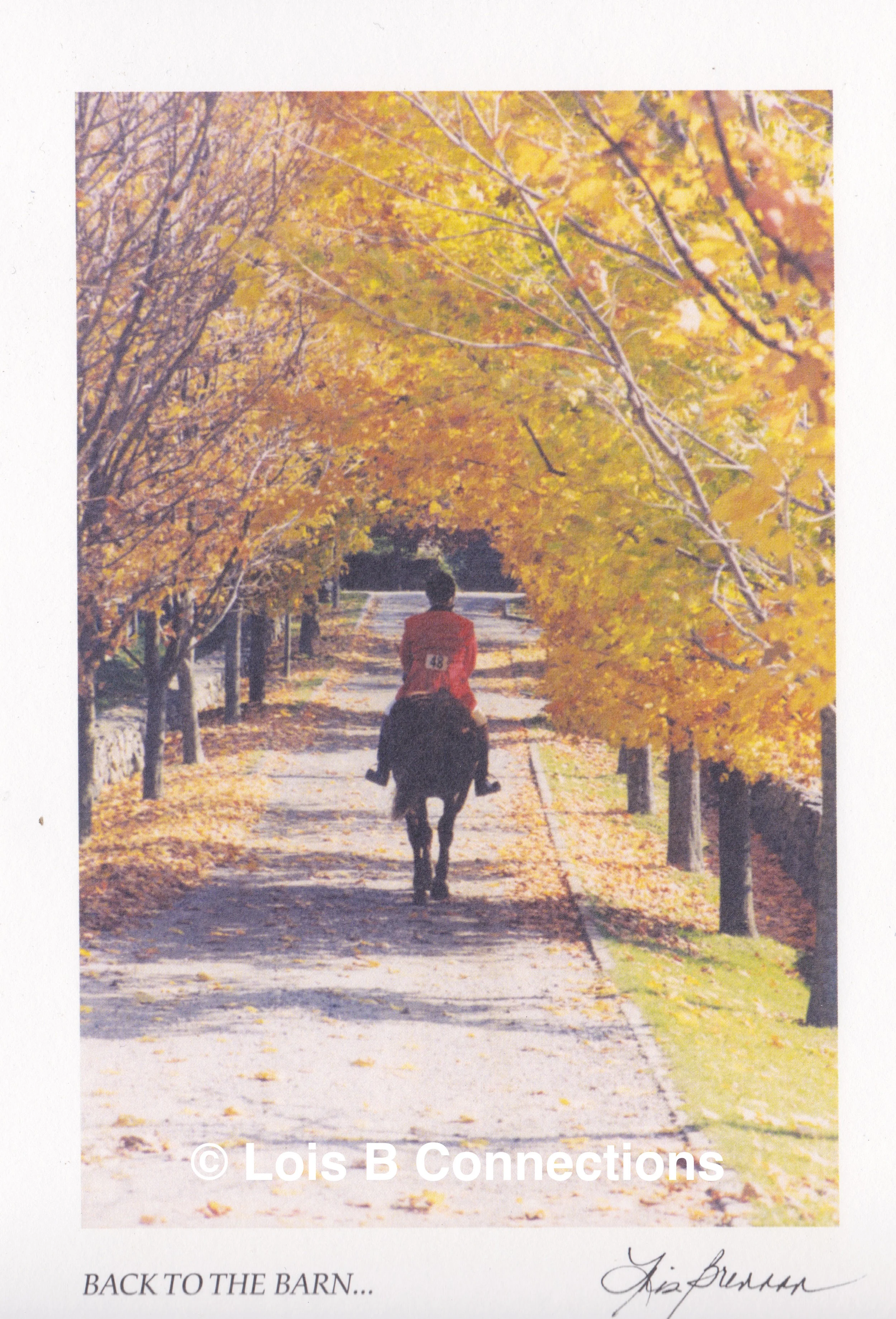 Back to the barn.jpeg