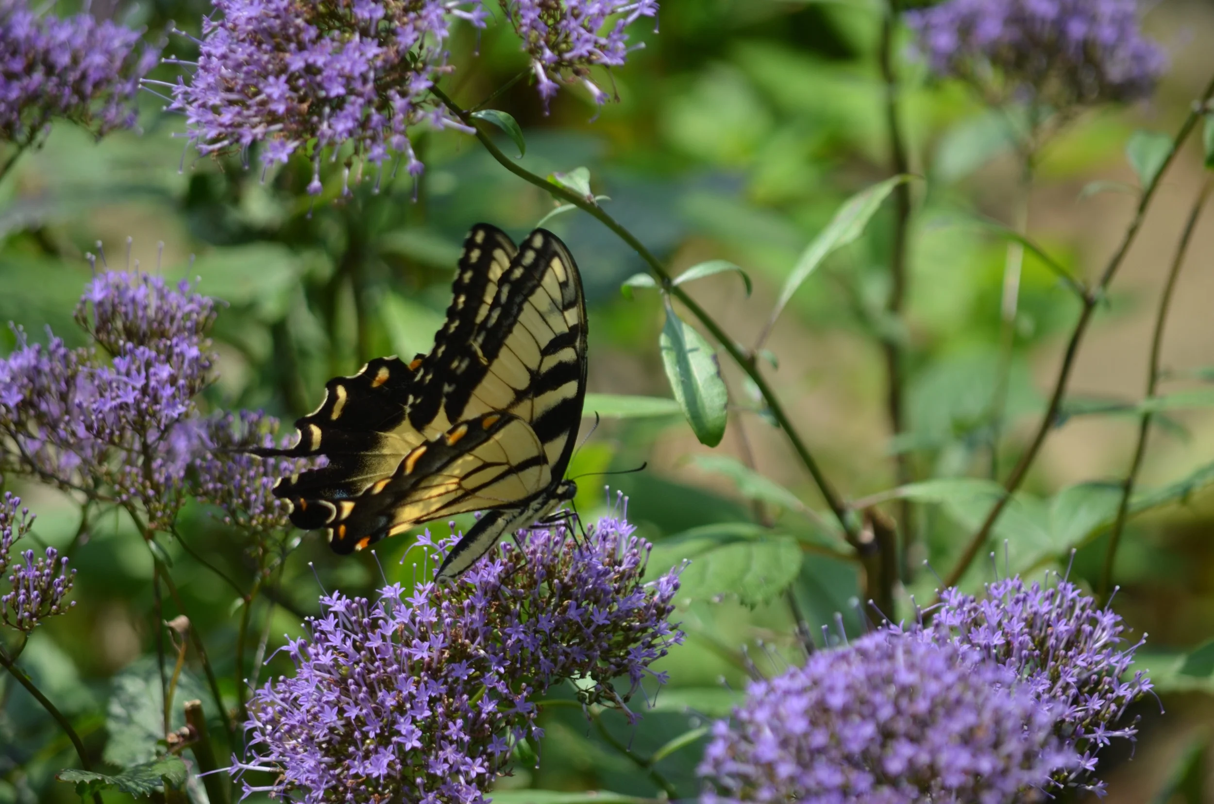 Stay…just a little bit longer…