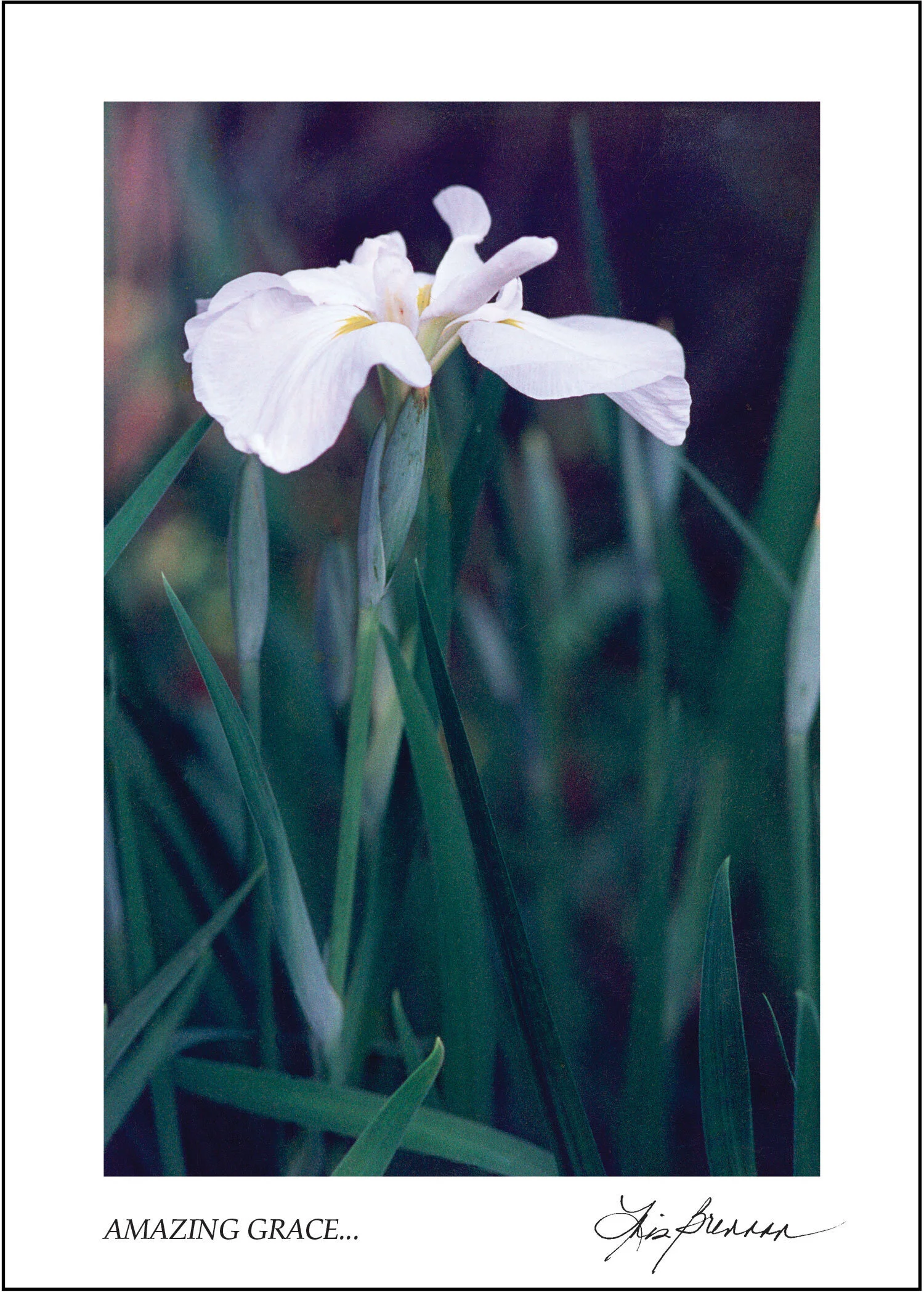 Amazing-Grace-border.jpeg