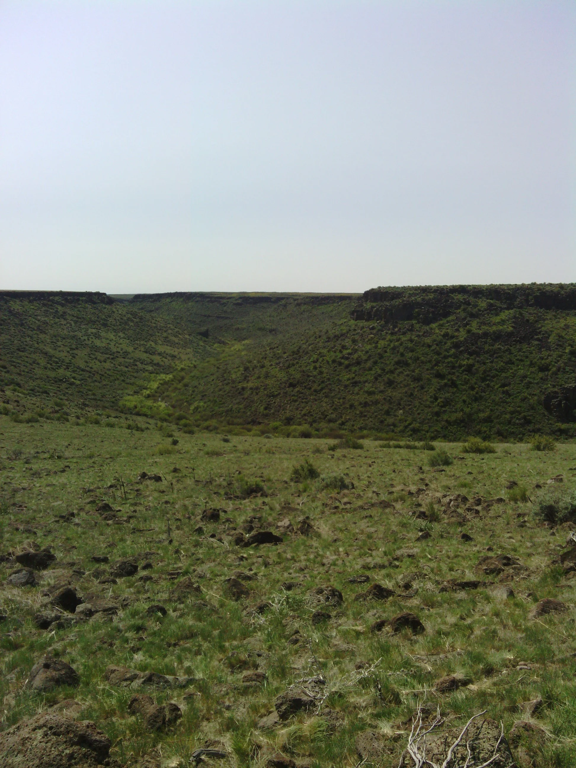 Davis Mtn.jpg