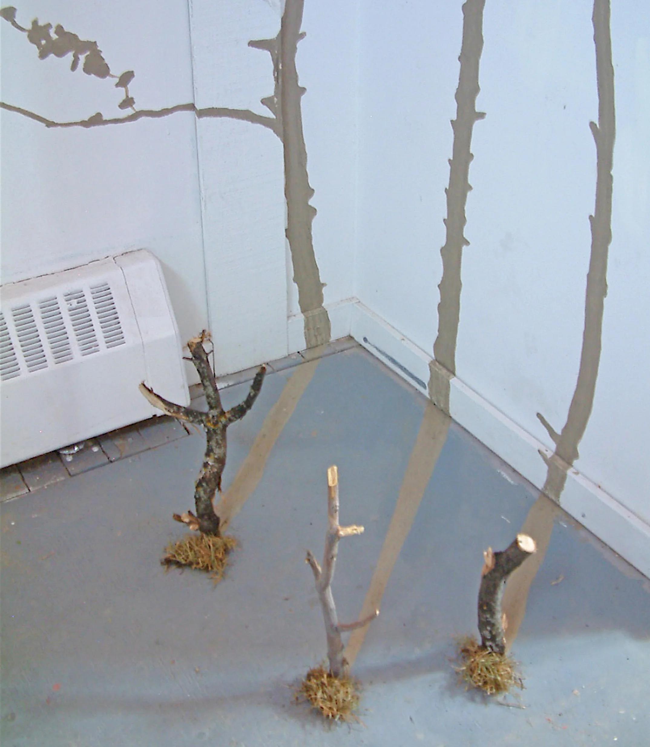 W27-09-Projections, Art Barn UofM.jpg