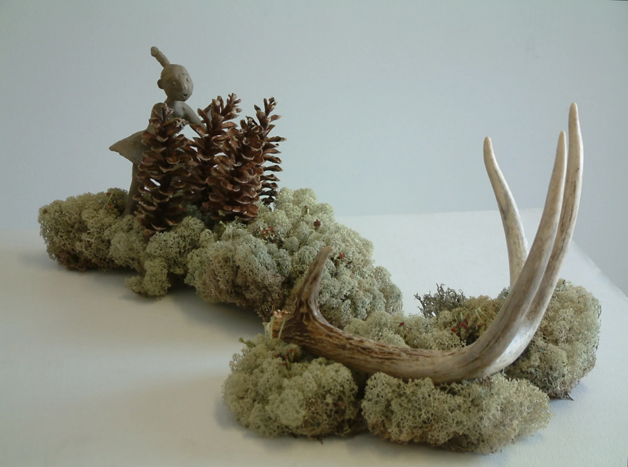   Wilderness Wonderment&nbsp;2011  