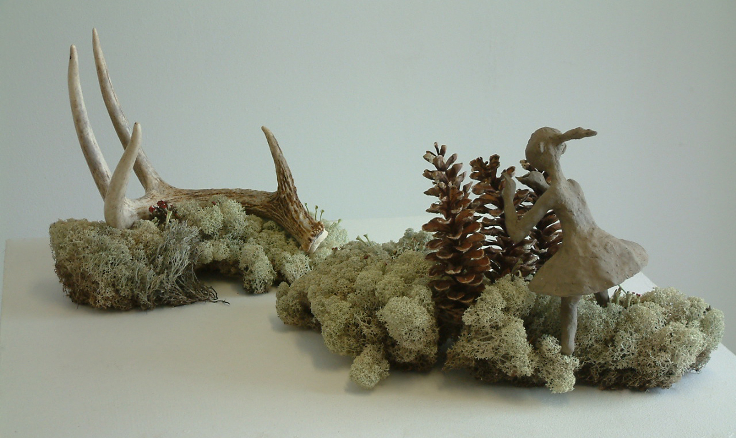   Wilderness Wonderment 2011  