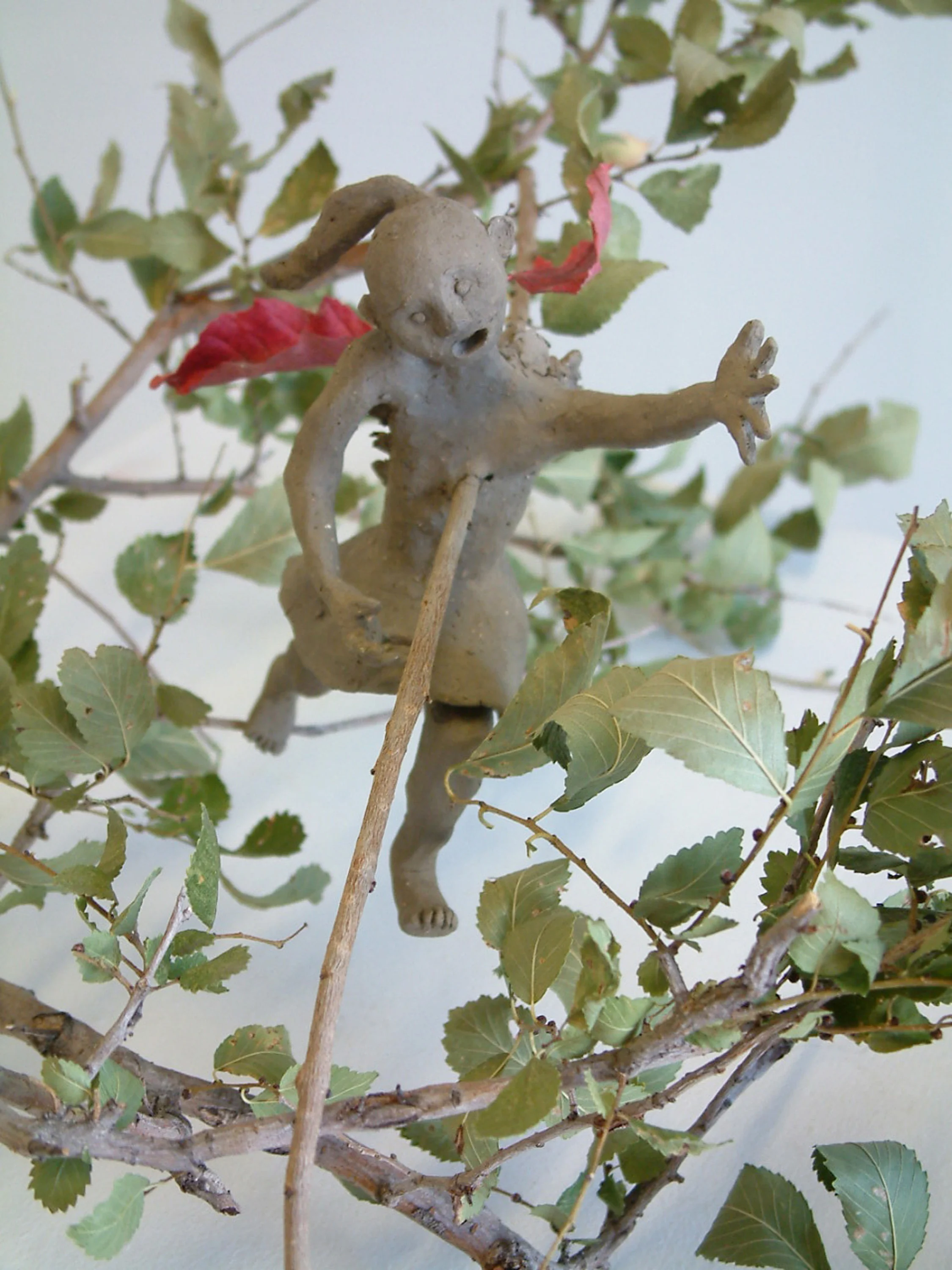 Climbing Trees 2011