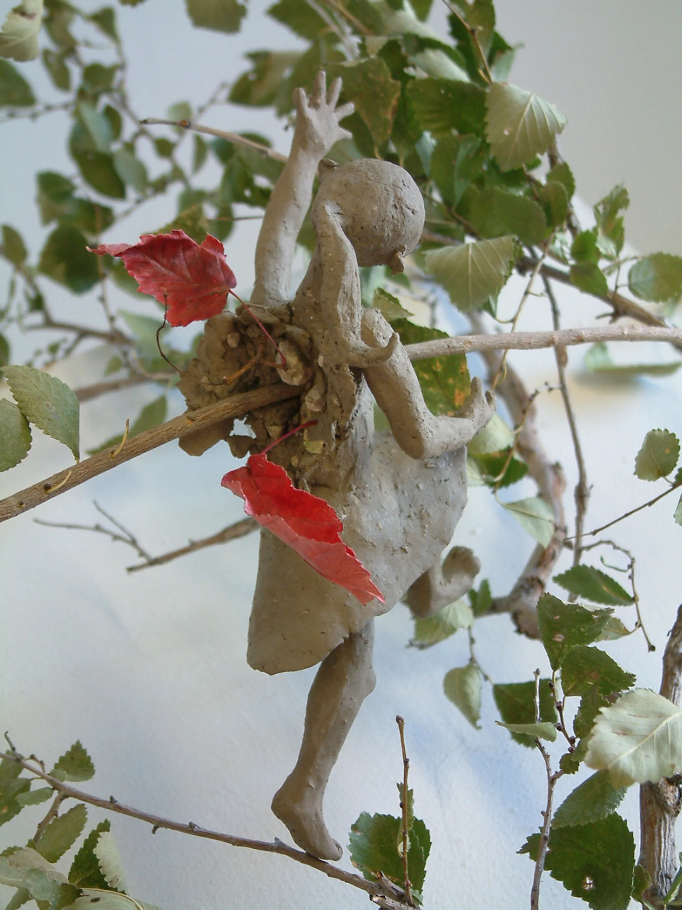   Climbing Trees&nbsp;2011  