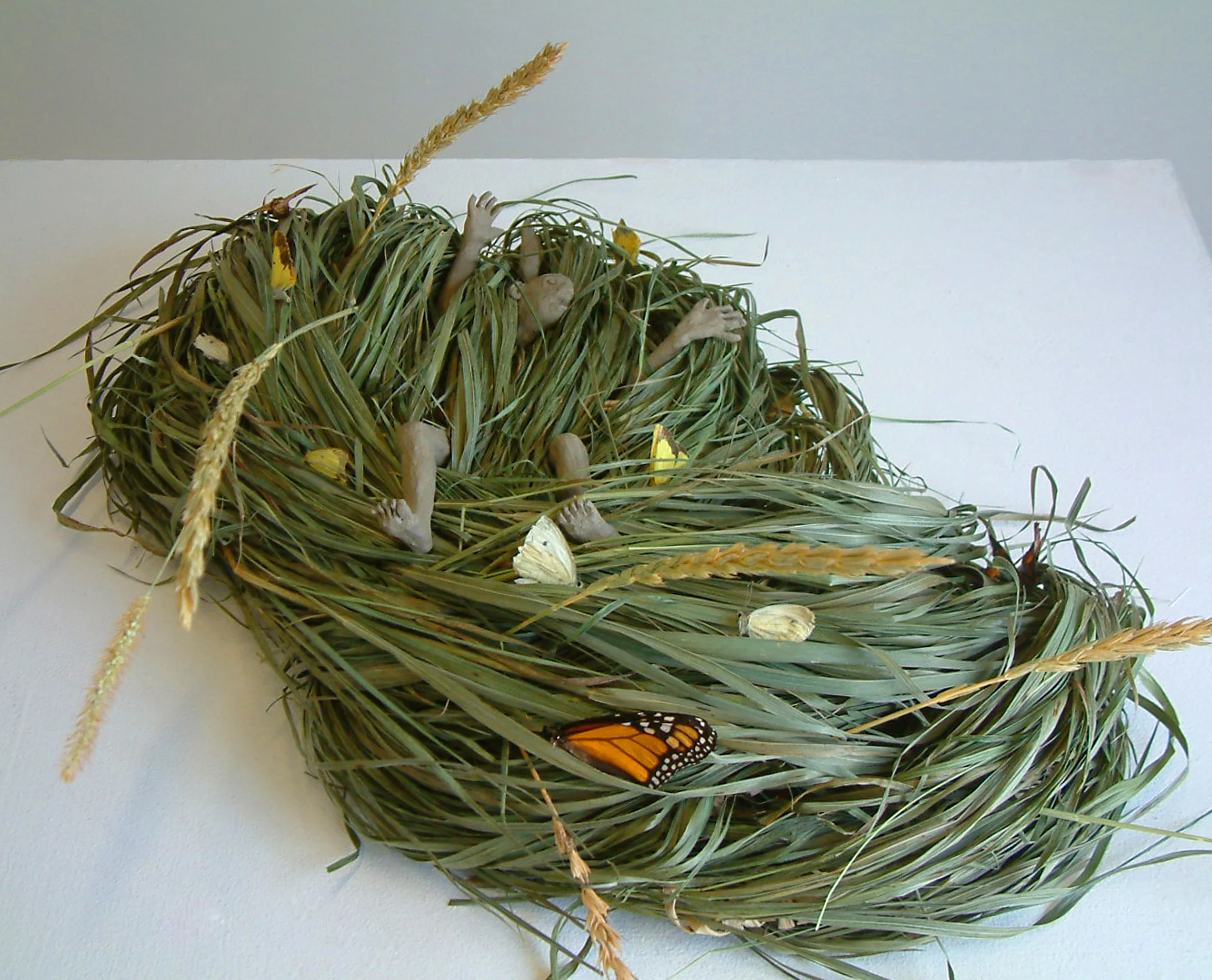 Wild Grasses 2011