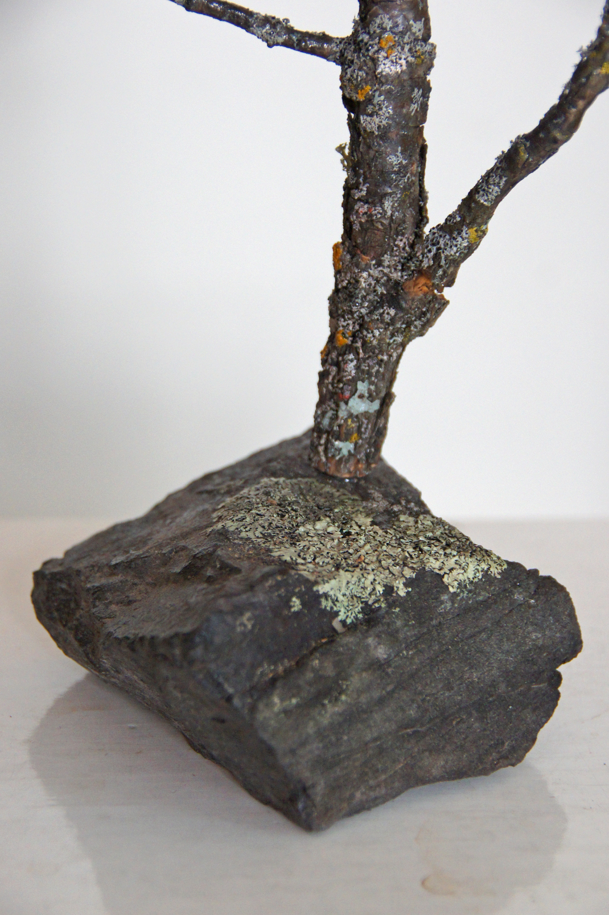 "Climbing Trees" 2012 Paris, France (Private Collection)