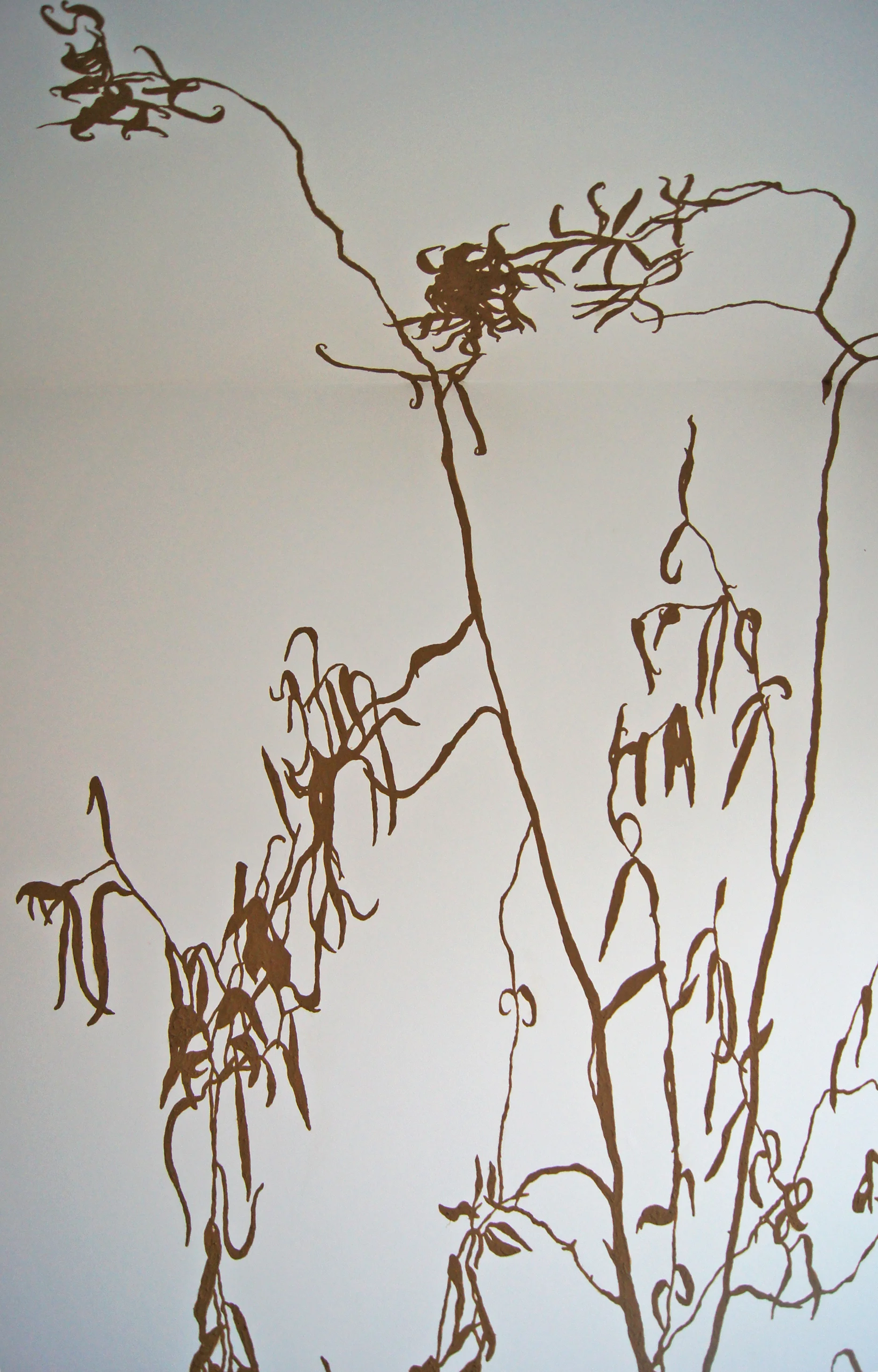 W53-10-Projection-Paris 2011.jpg