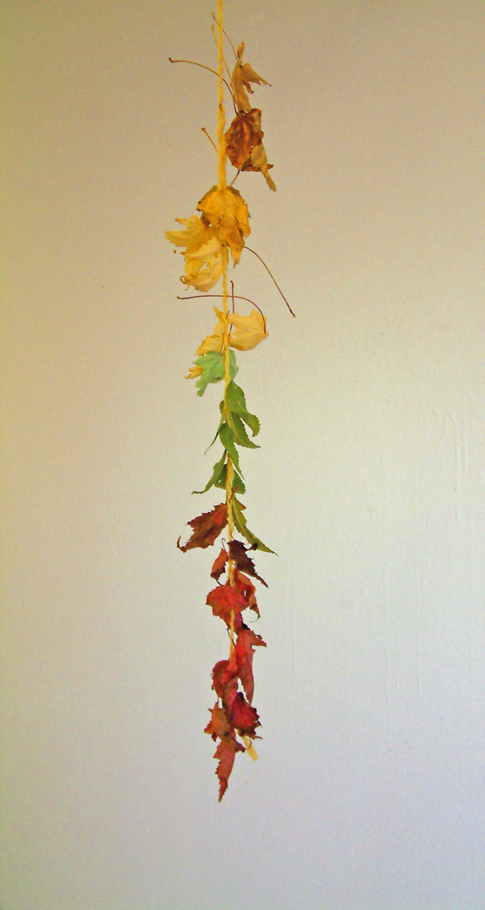 Leaf works. Leaves, hand dyed + hand spun wool