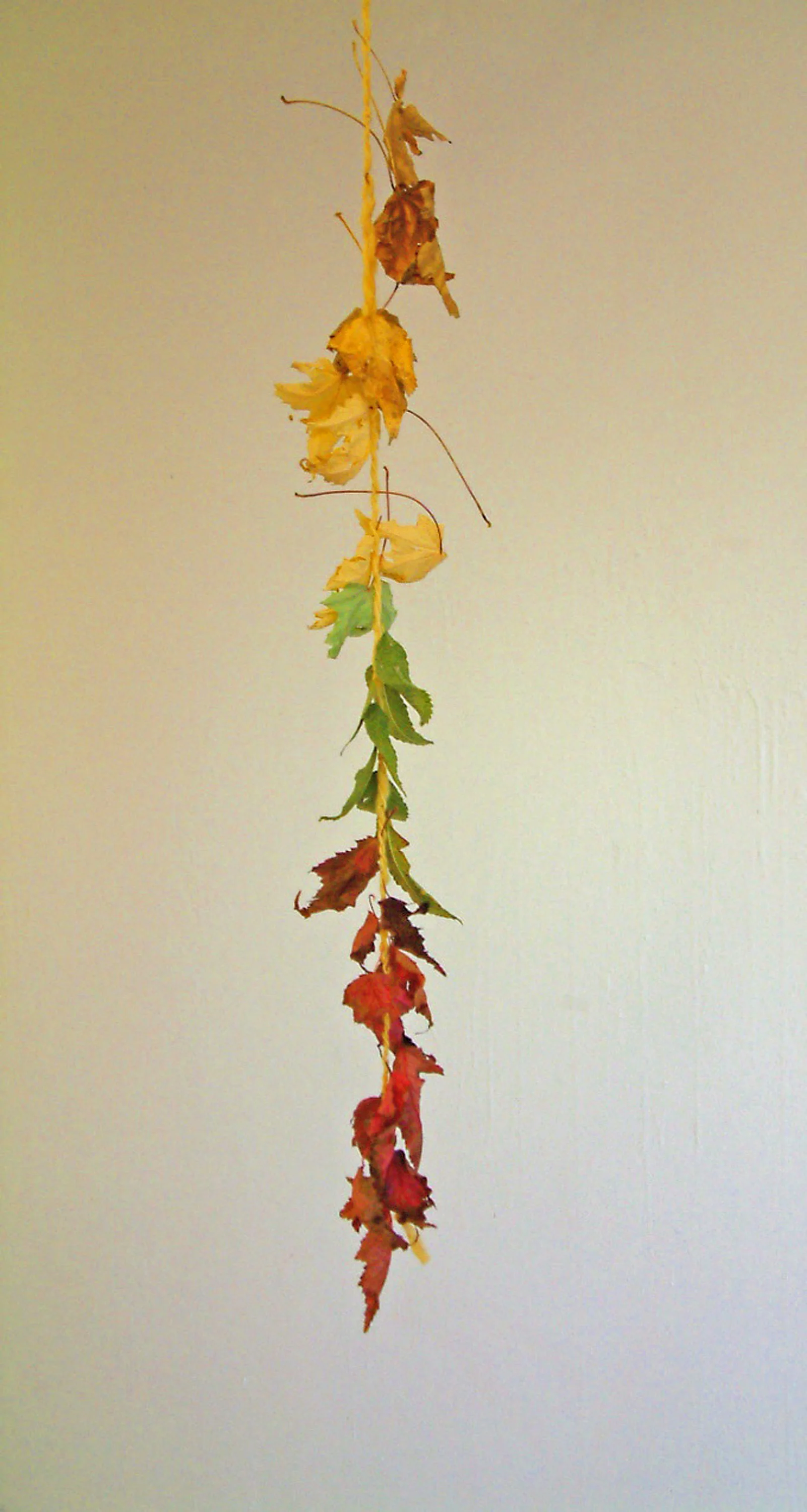 W19.10.9-01-Leaf Works.jpg
