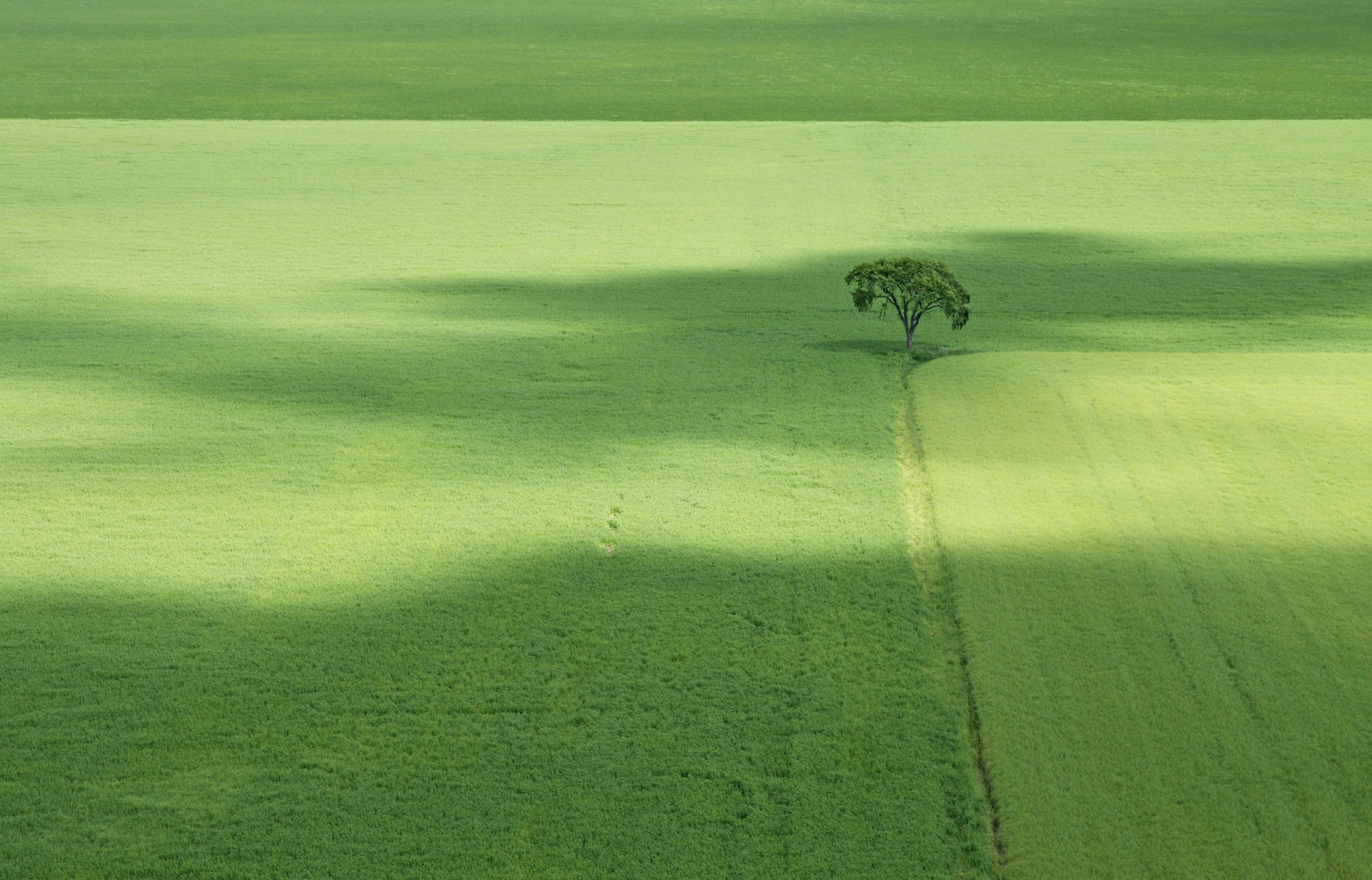 04-Aerial Photographs 2012-13 .jpg
