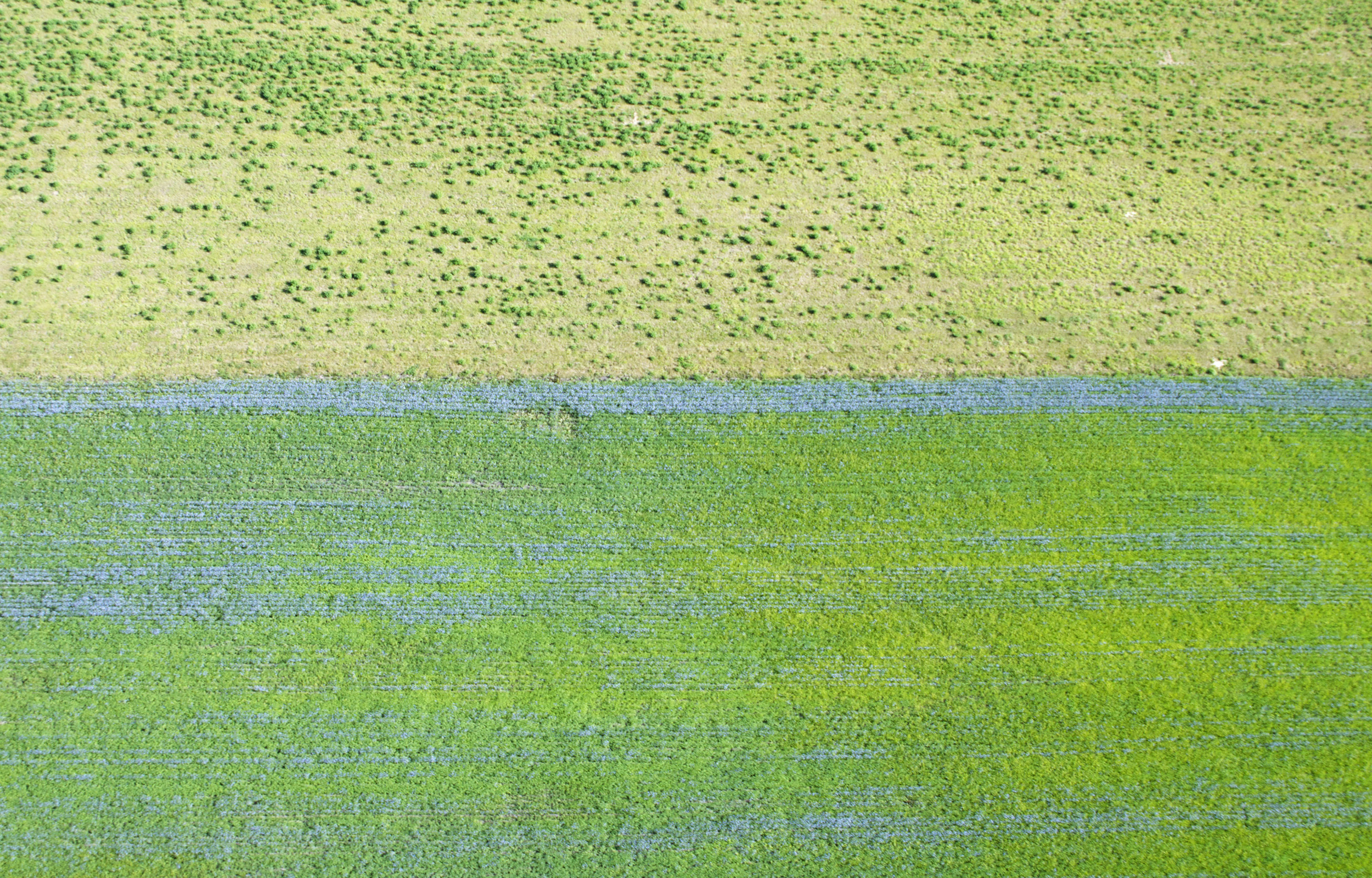 09-Aerial Photographs 2012:13 .jpg
