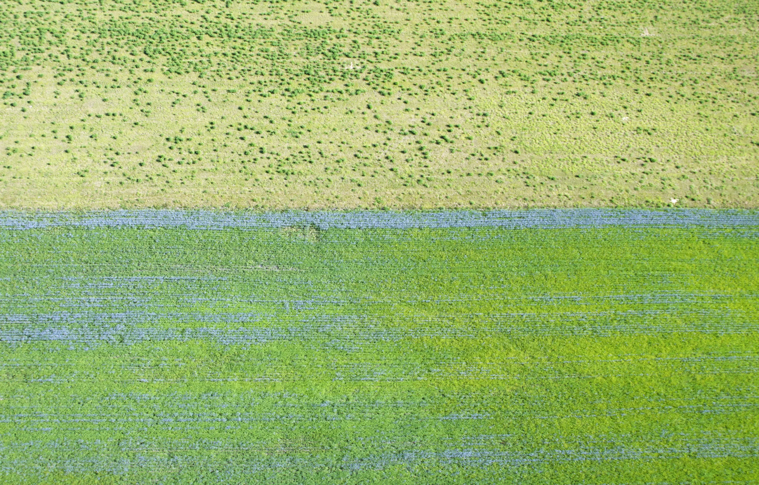 09-Aerial Photographs 2012:13 .jpg