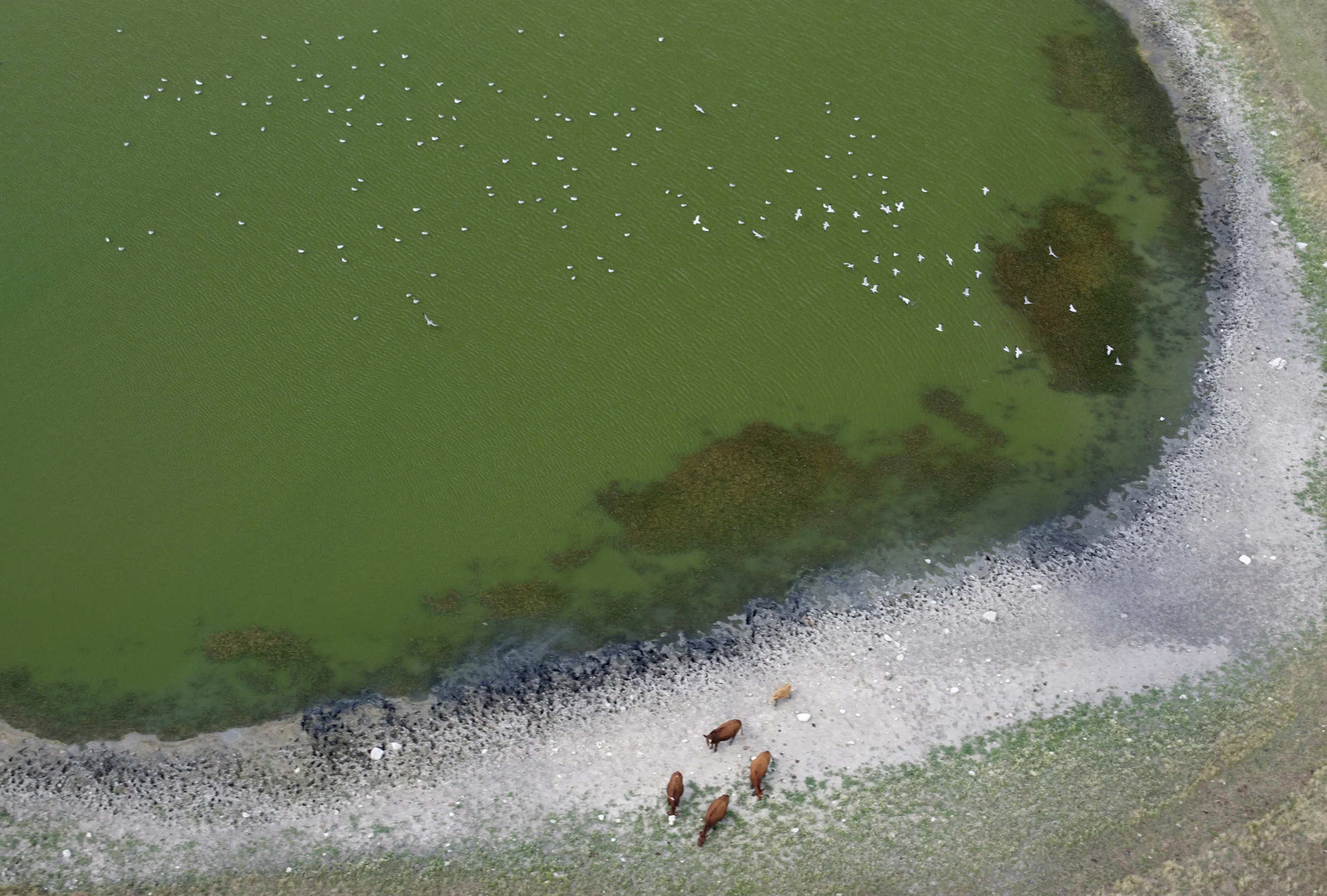 10-Aerial Photographs 2012:13 .jpg