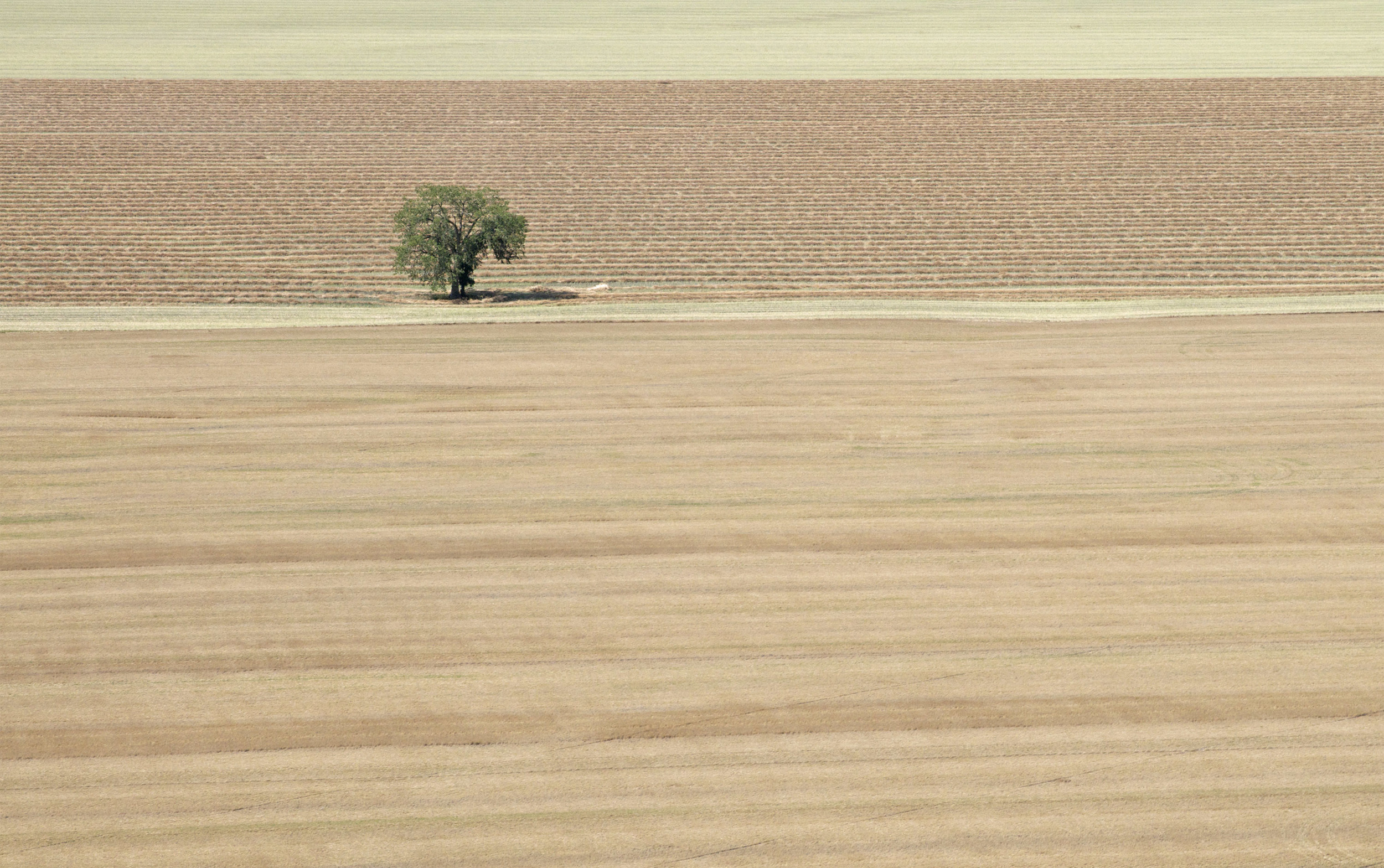16-Aerial Photographs 2012:13 .jpg