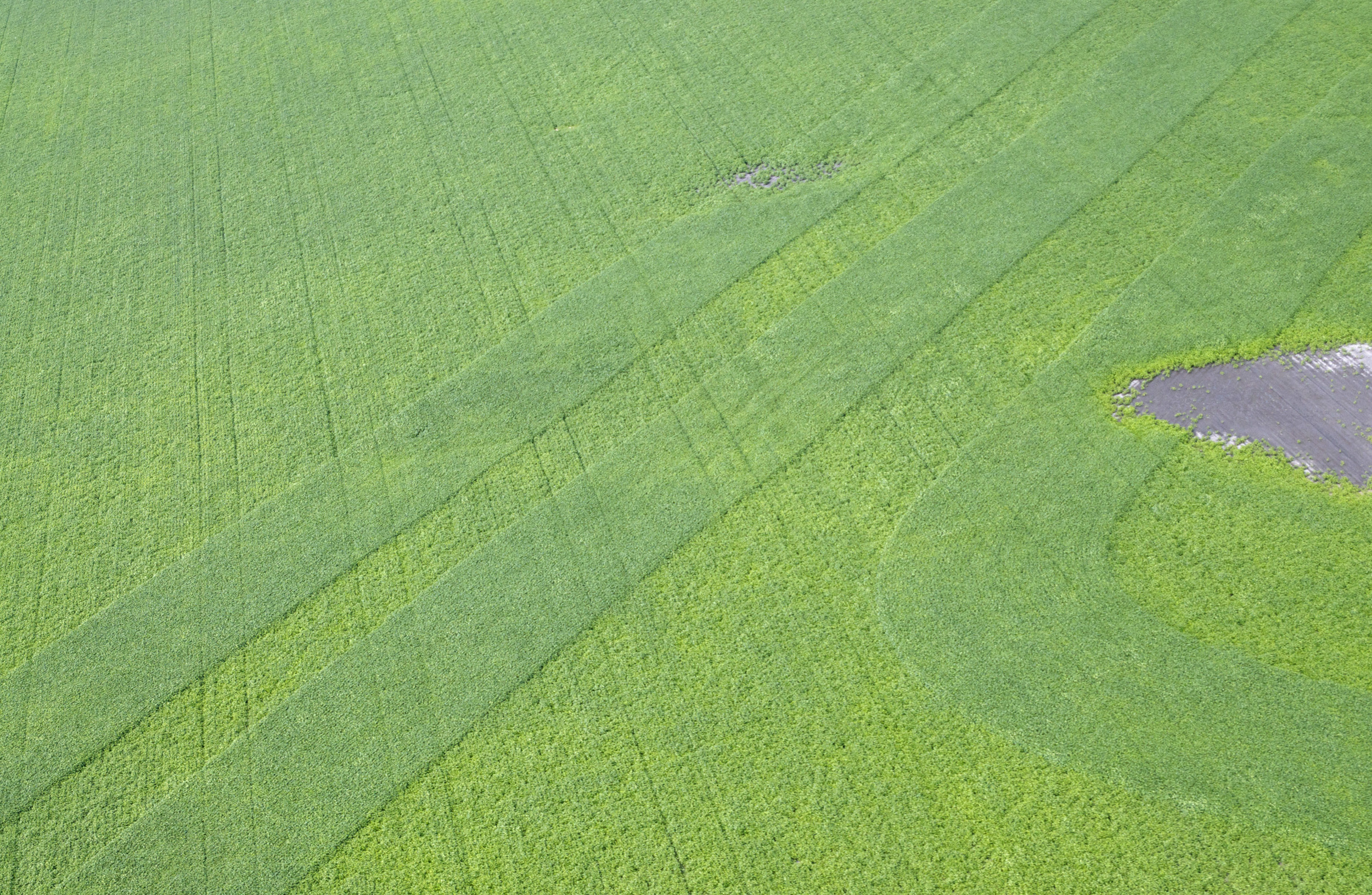 18-Aerial Photographs 2012:13 .jpg