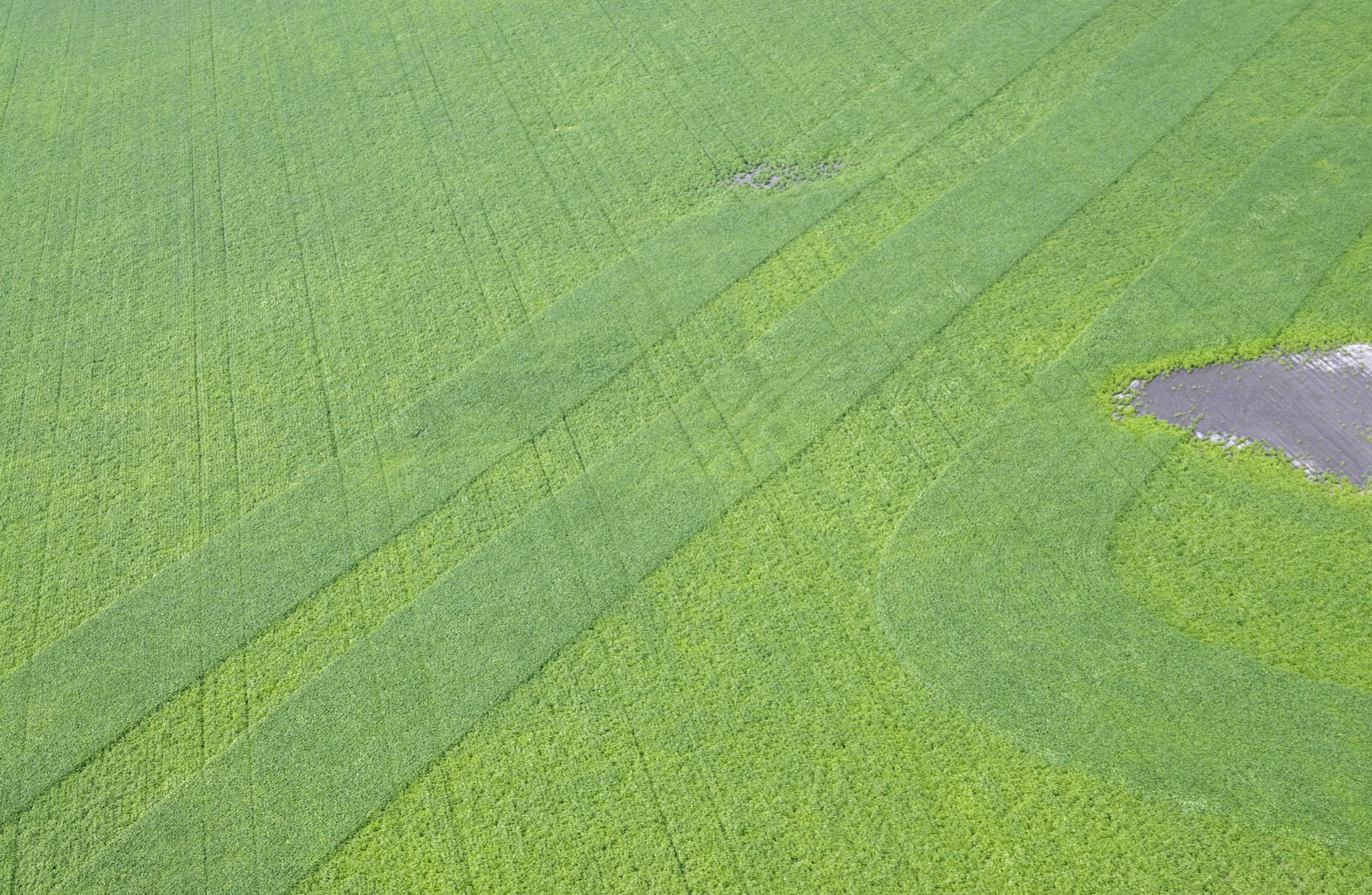 18-Aerial Photographs 2012:13 .jpg