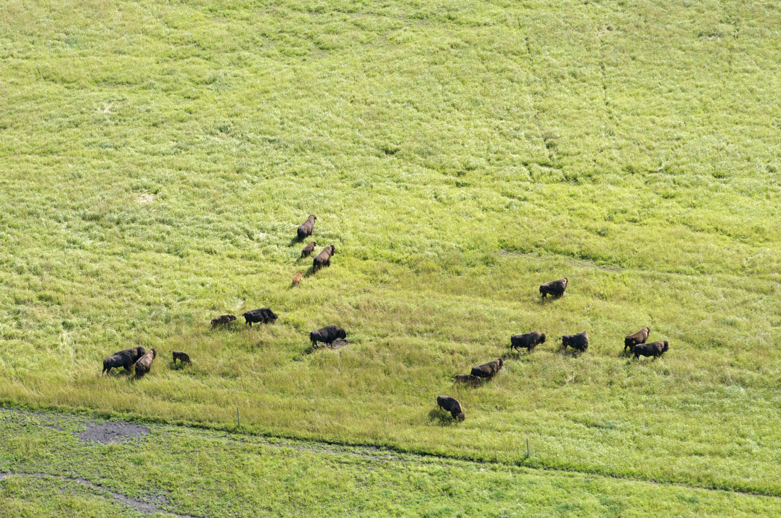23-Aerial Photographs 2012:13 .jpg