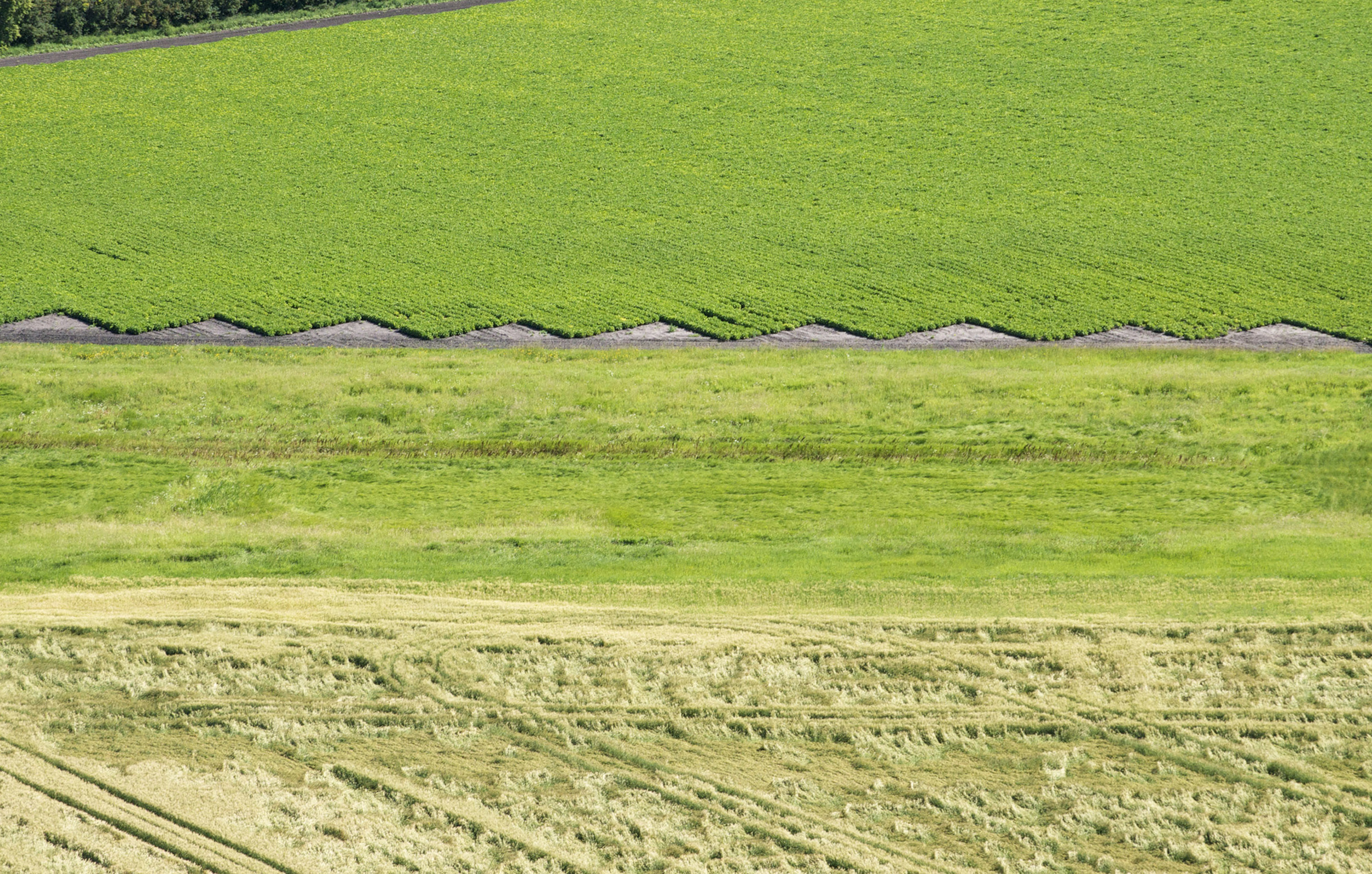 27-Aerial Photographs 2012-13 .jpg