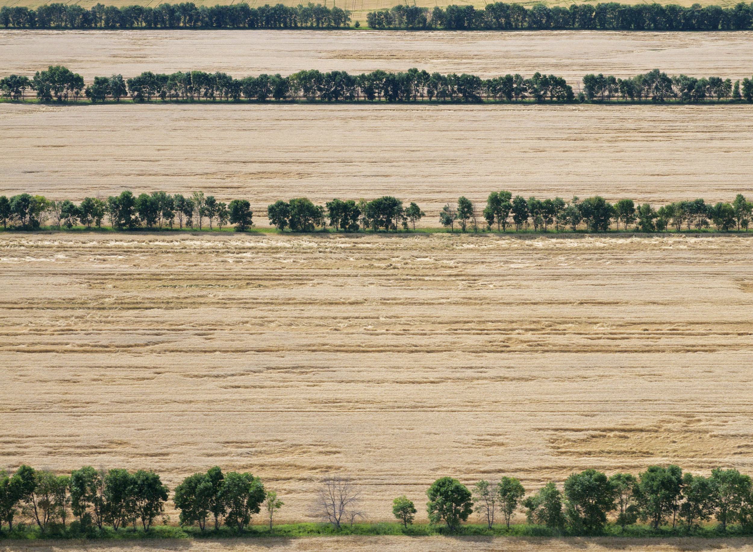 32-Aerial Photographs 2012-13 .jpg