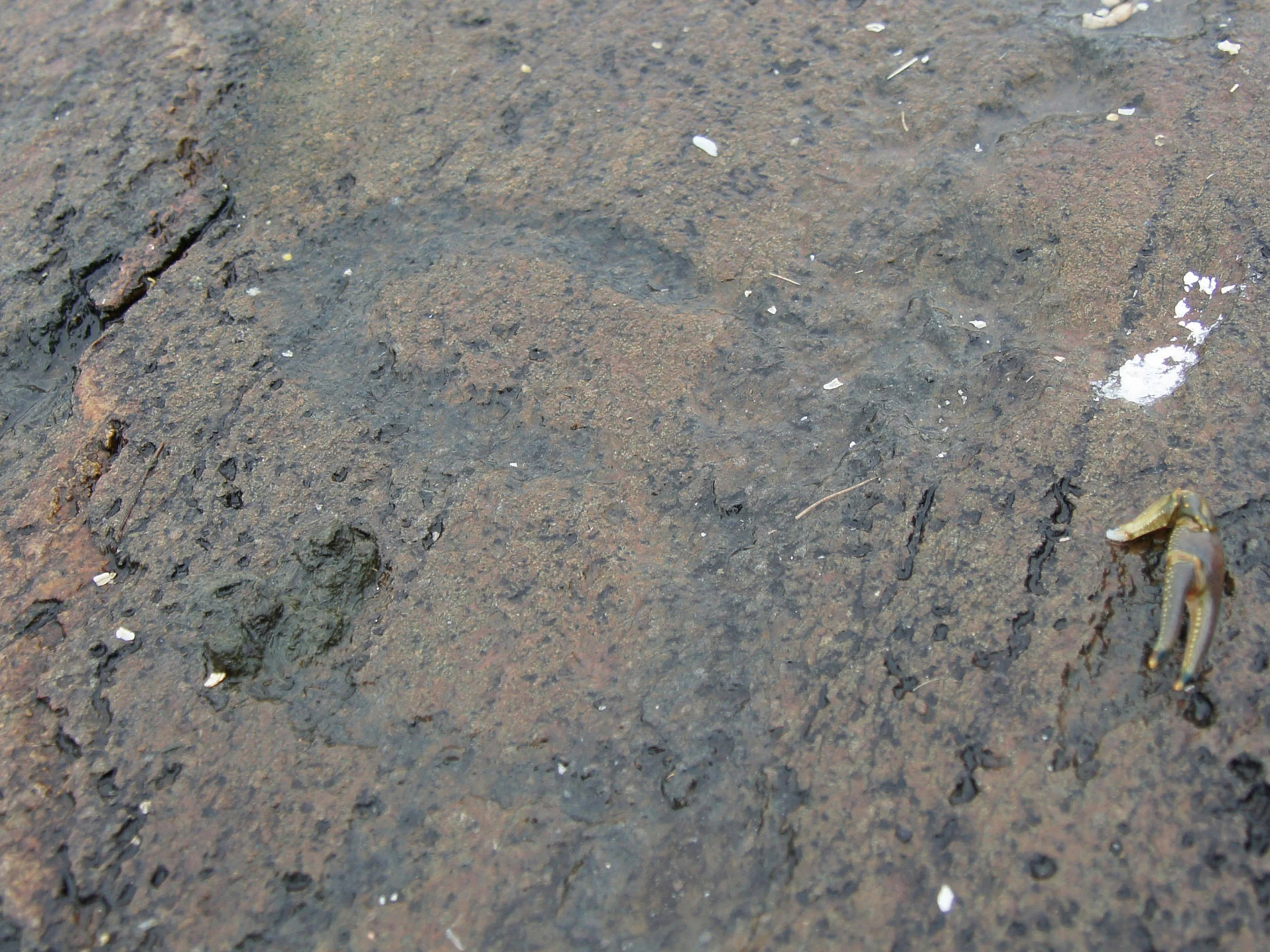 Petroglyphs, Lake of the Woods, Ontario
