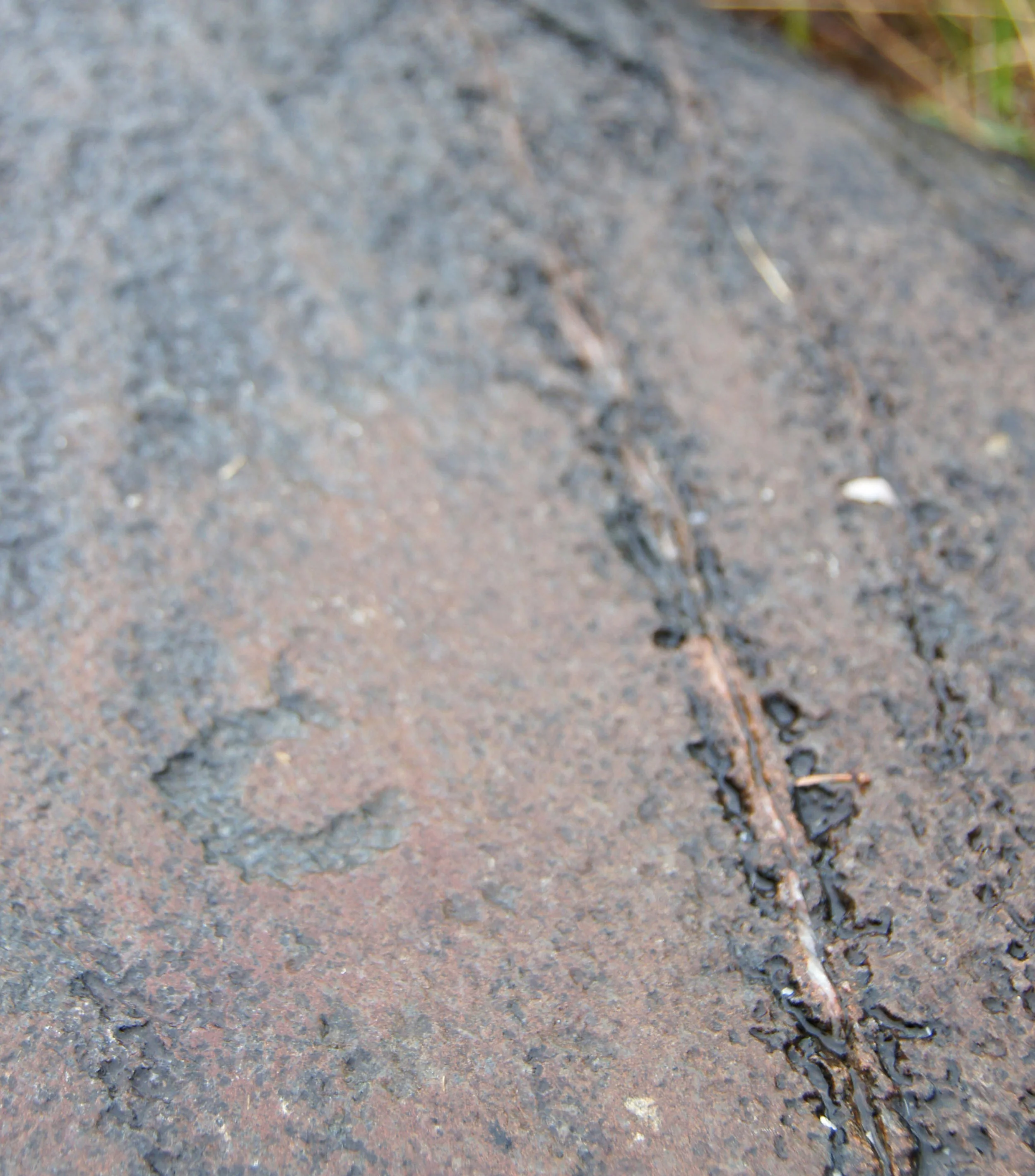 Petroglyphs, Lake of the Woods, Ontario