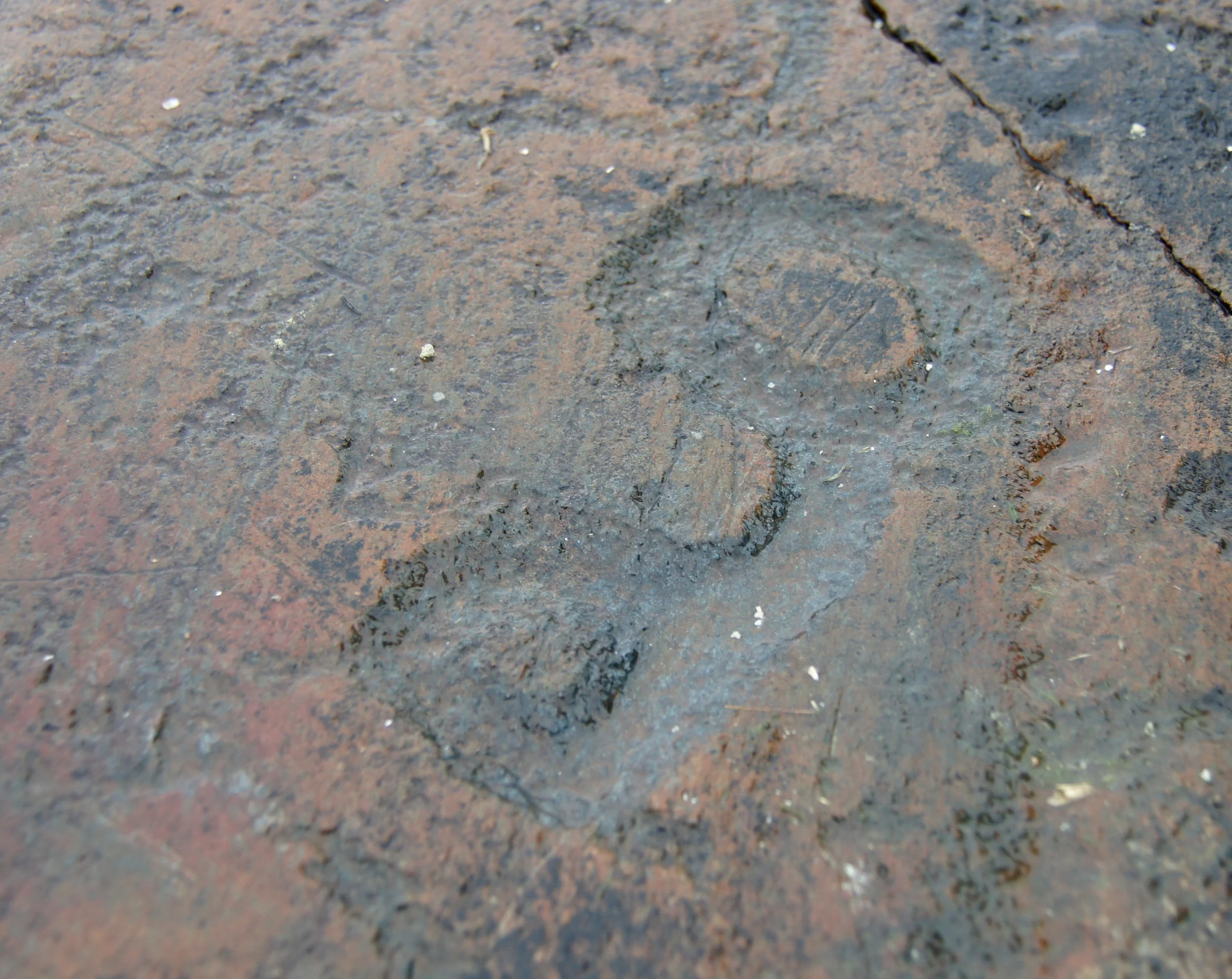 Petroglyphs, Lake of the Woods, Ontario