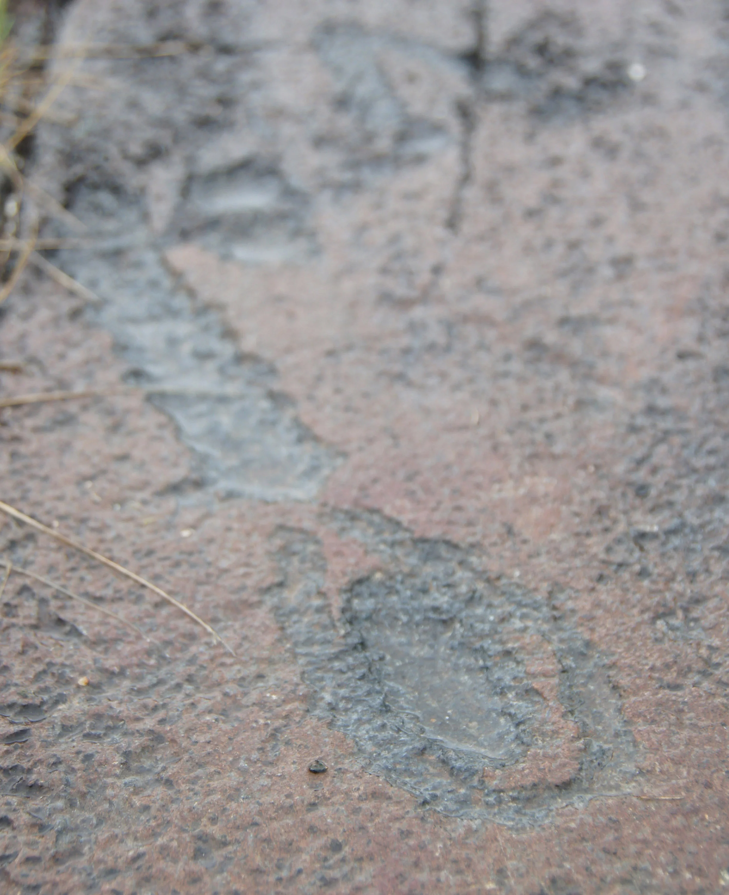 Petroglyphs, Lake of the Woods, Ontario