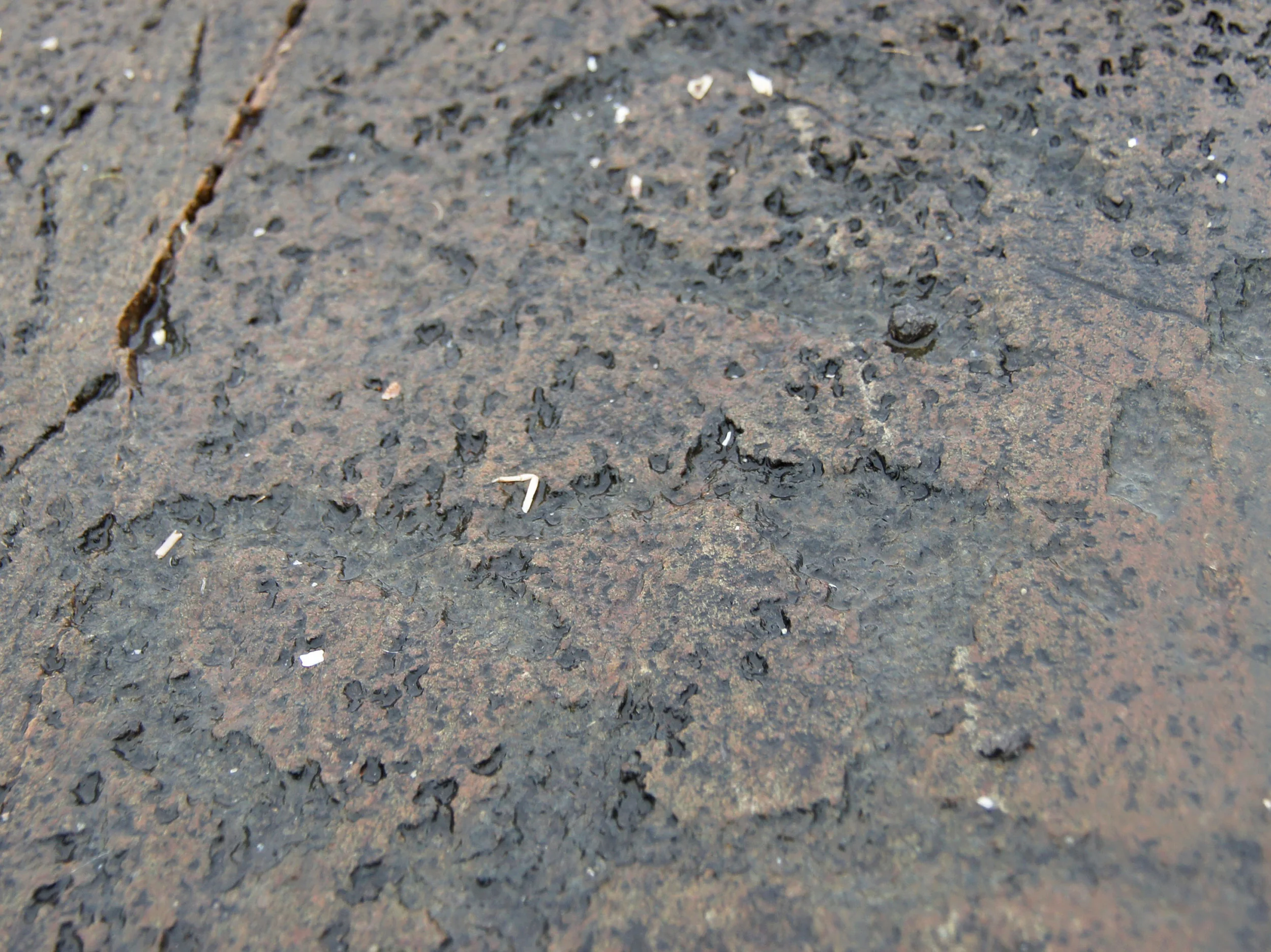 Petroglyphs, Lake of the Woods, Ontario