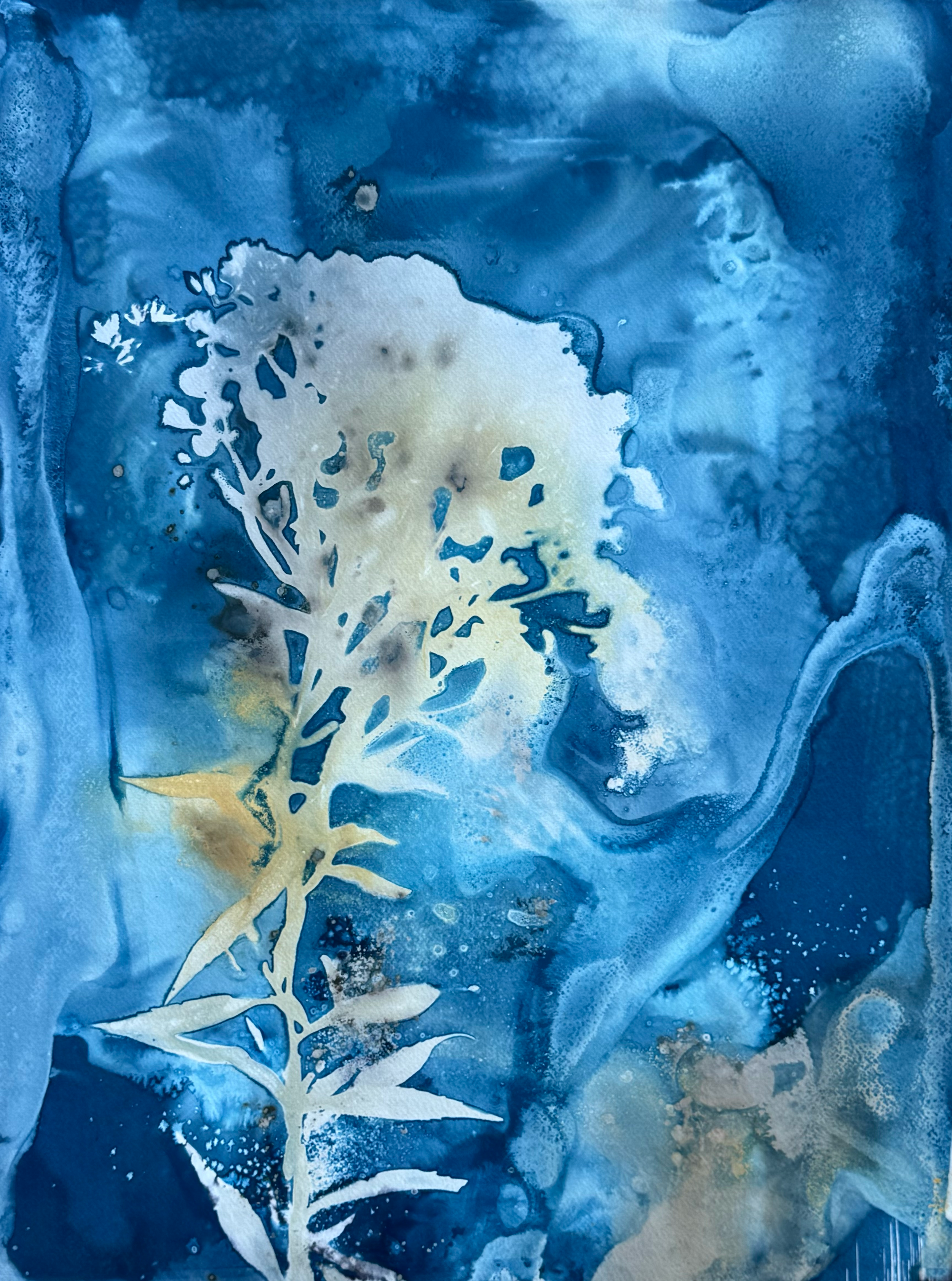 Frostwood Adrift