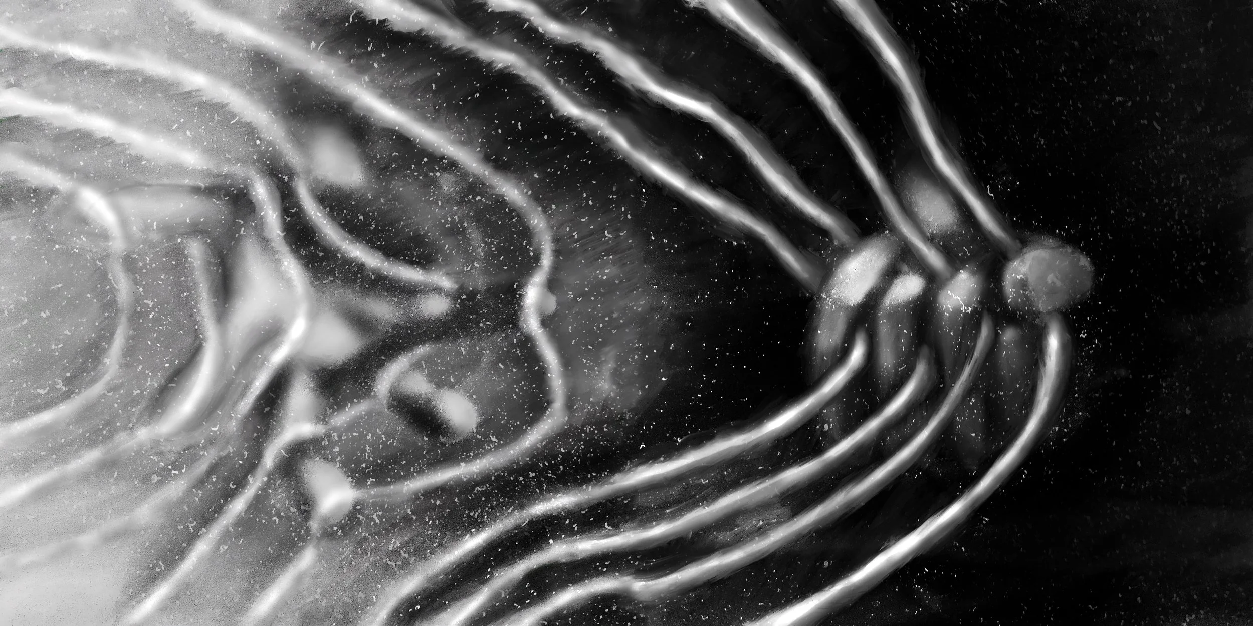 Open Hand & Closed Fist Album Cover Designs (2022)