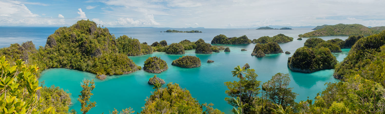 Spectacular panoramic view of Blue Star Lagoon , upon climbing 300 shaky wooden steps.