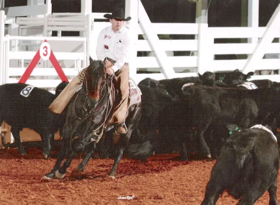 Oaxaca Chexx in the Cutting Arena